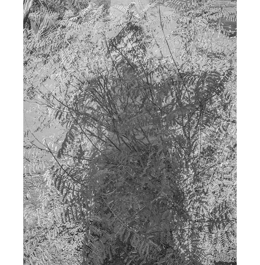 homage-to-frank-auerbach.jpg