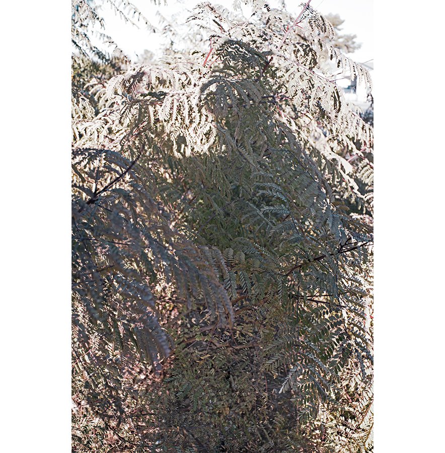 photo-meets-drawing.jpg