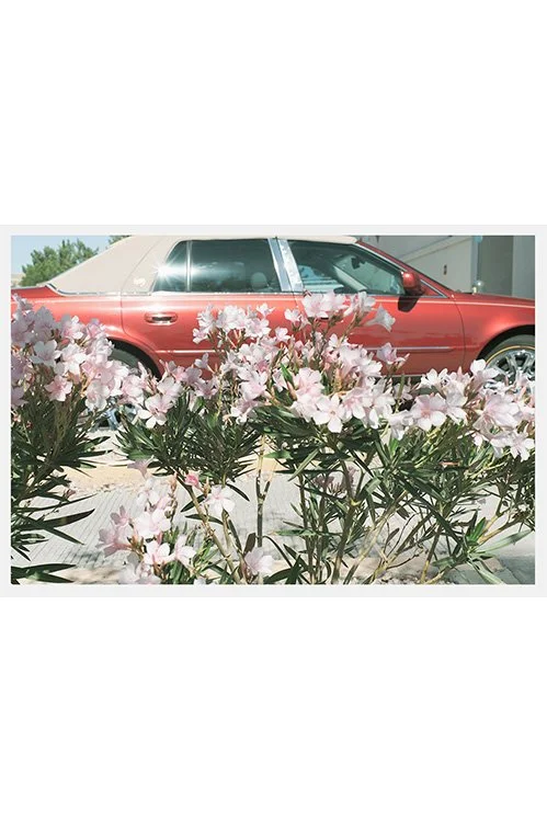 drive.jpg