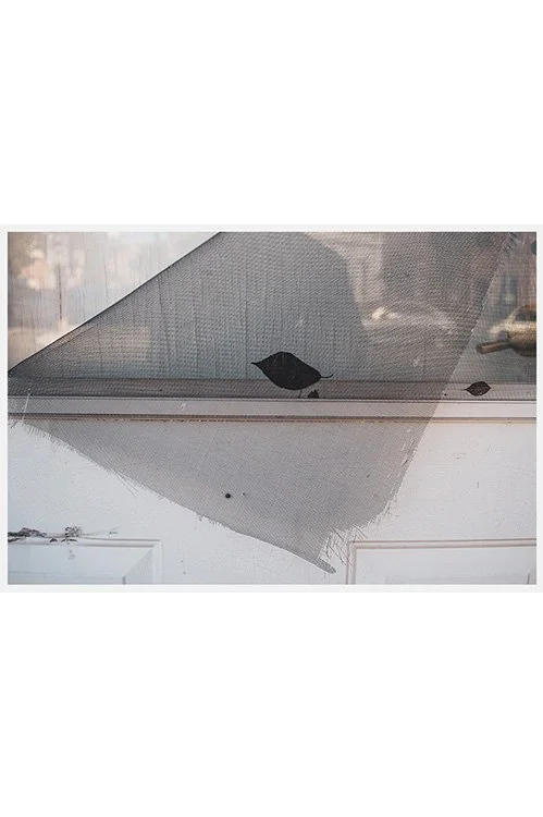 South-Philadelphia-Poem.jpg