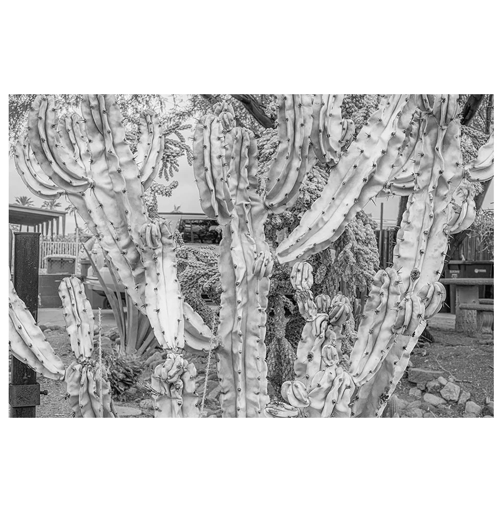 product-image-format_Podlesnik.jpg