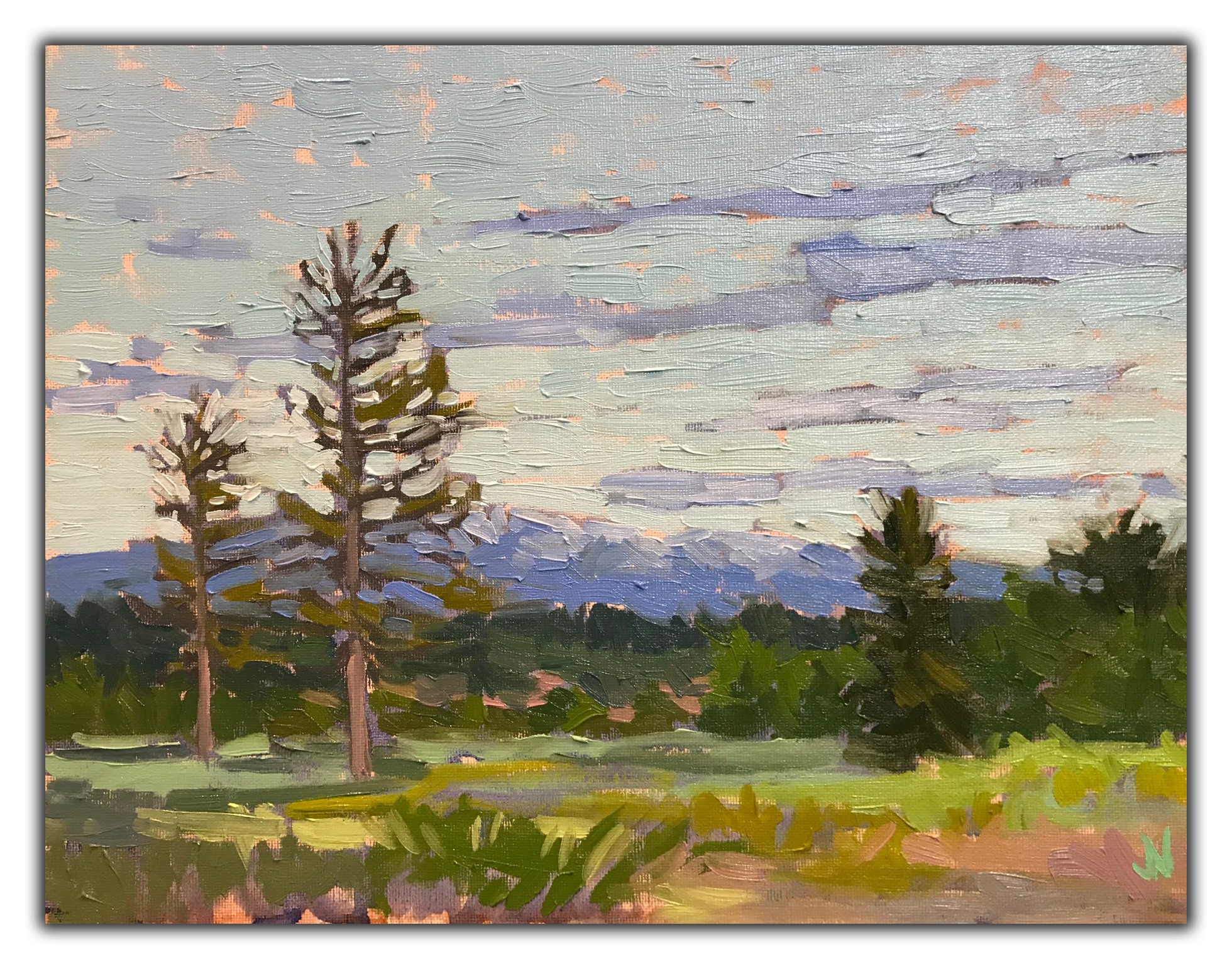 "Pacific Meadow" SOLD