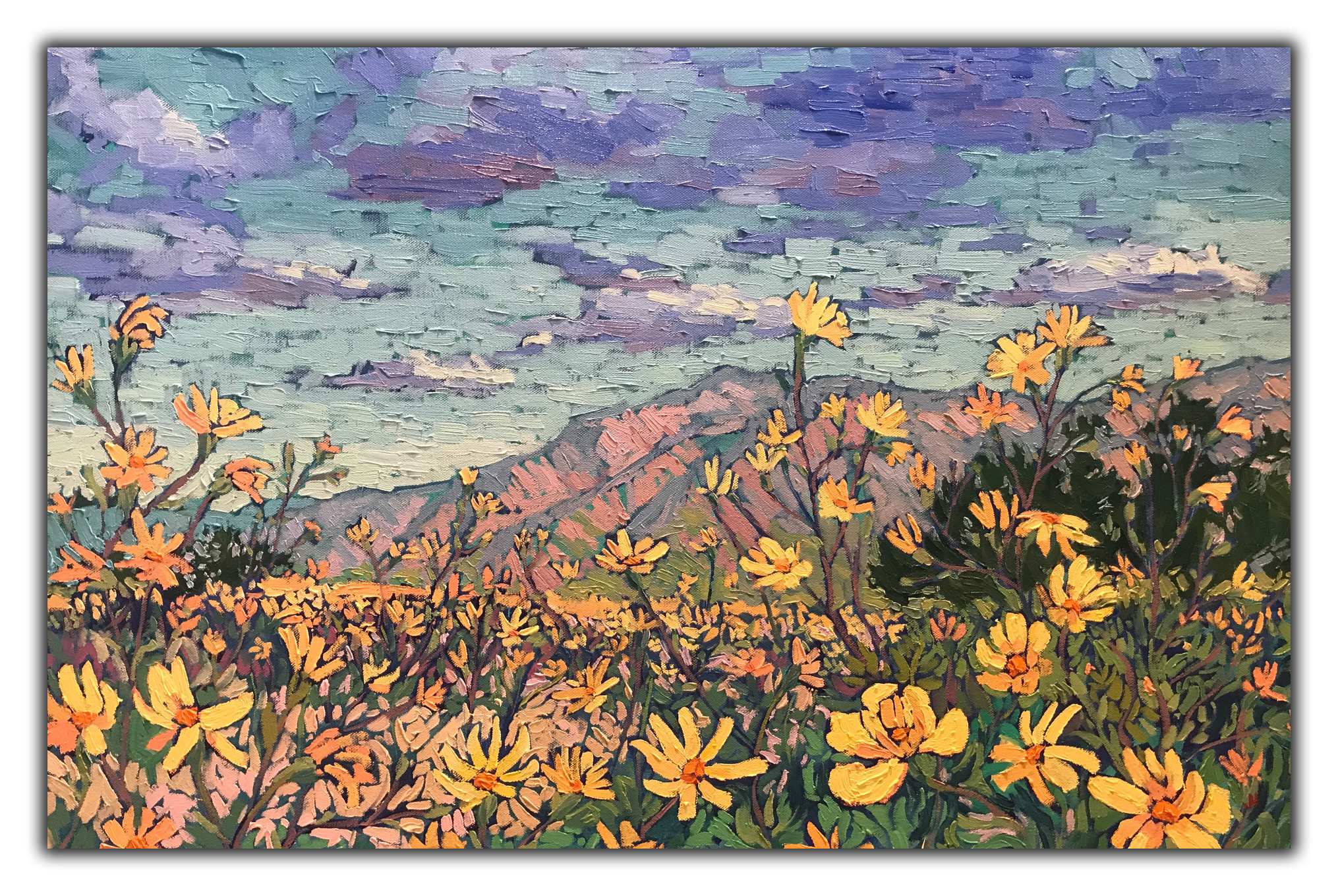CladwithcolorsofclementineD.png