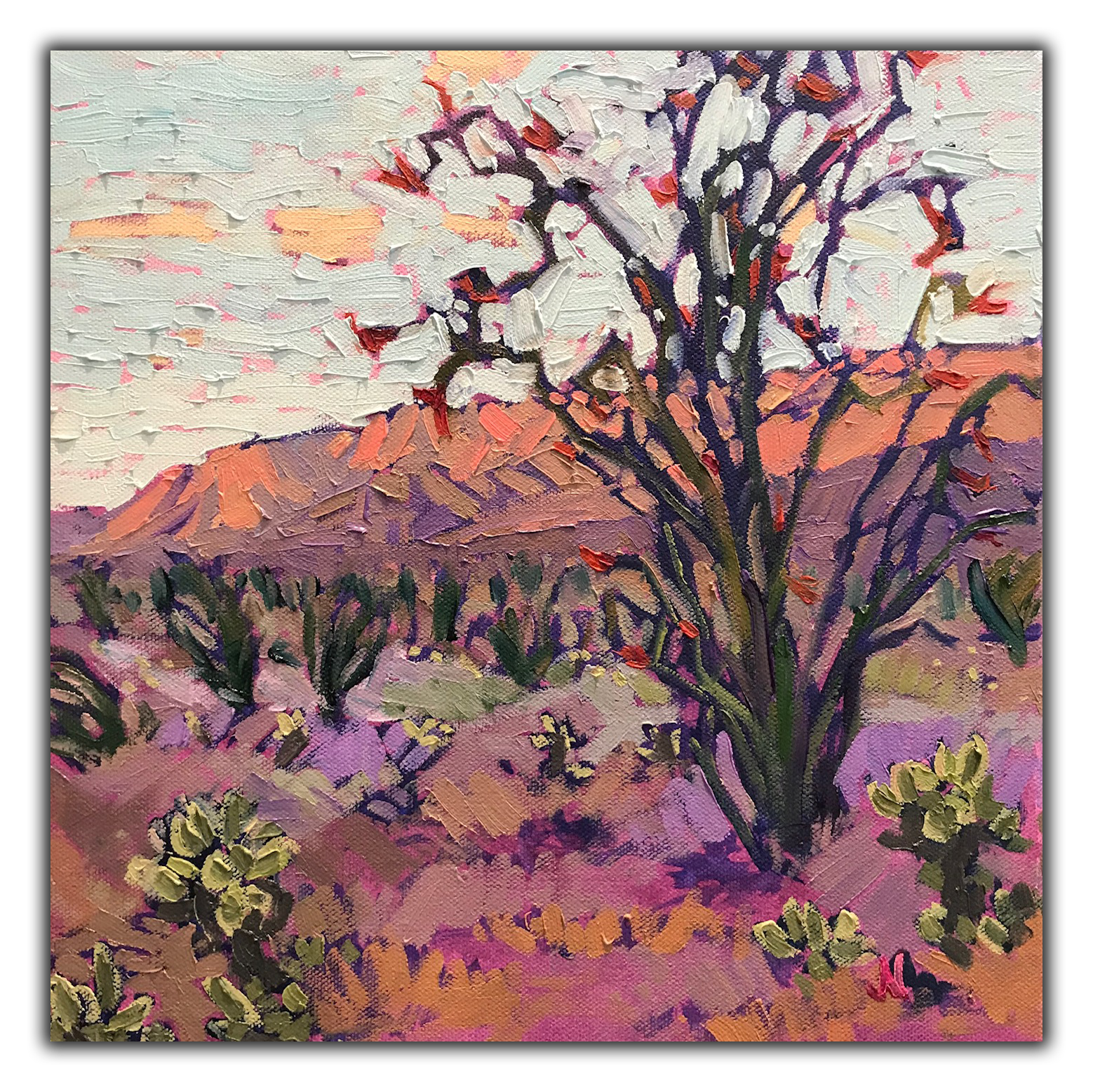 "Good Morning Ocotillo" SOLD