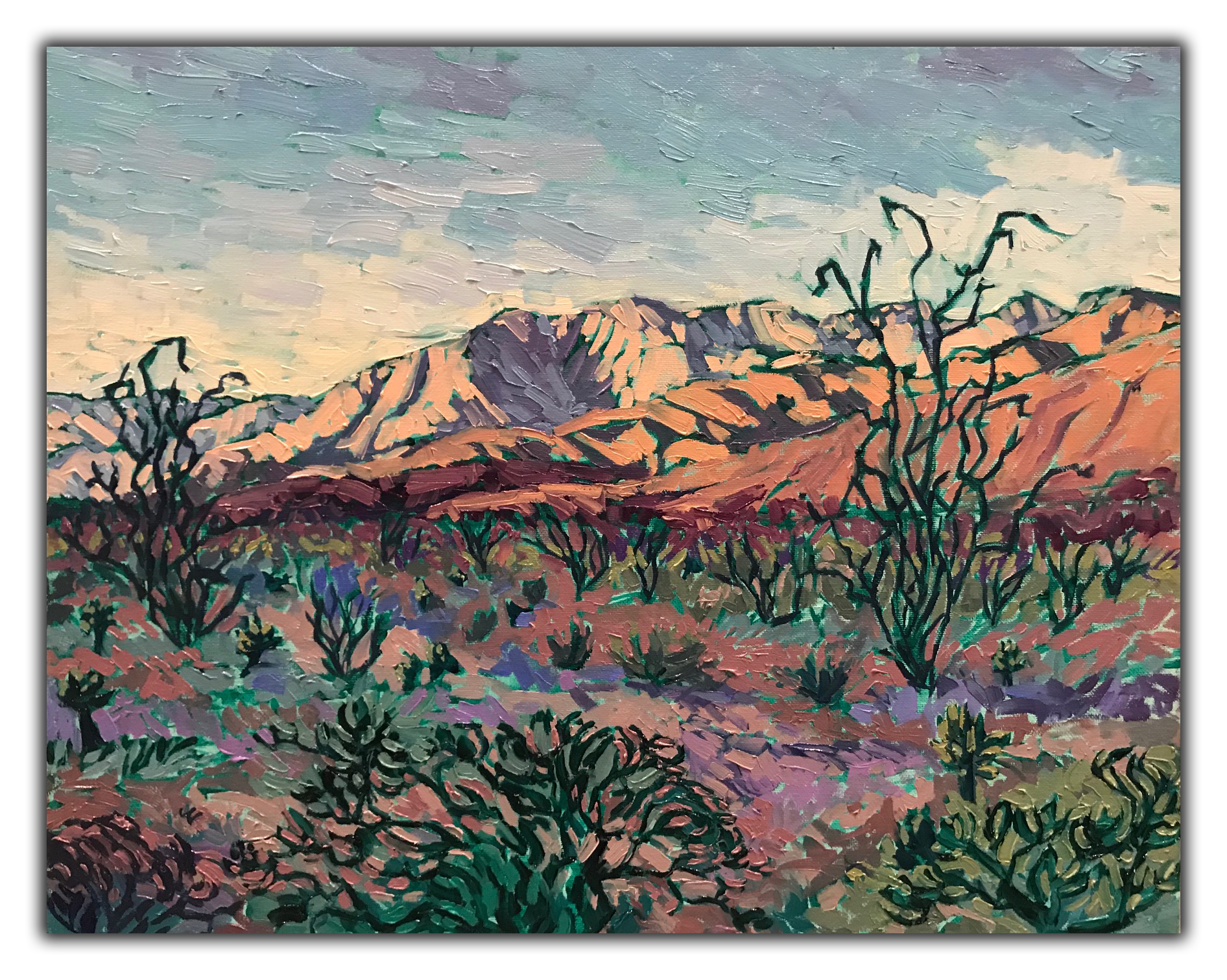 "A Borrego Mountain Morning"