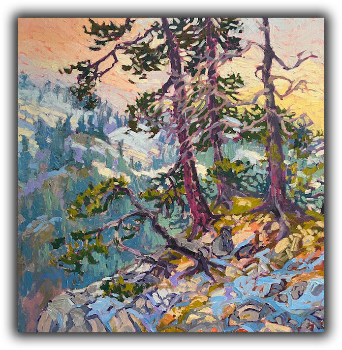 "Weathered Pines"