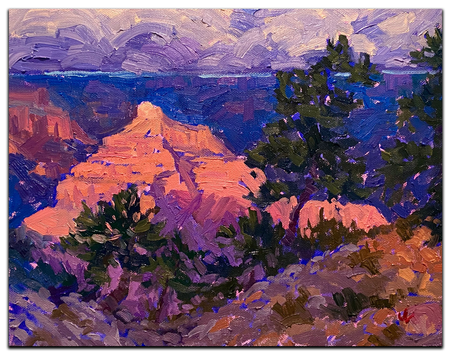 "Canyon Pine Silhouette"  SOLD