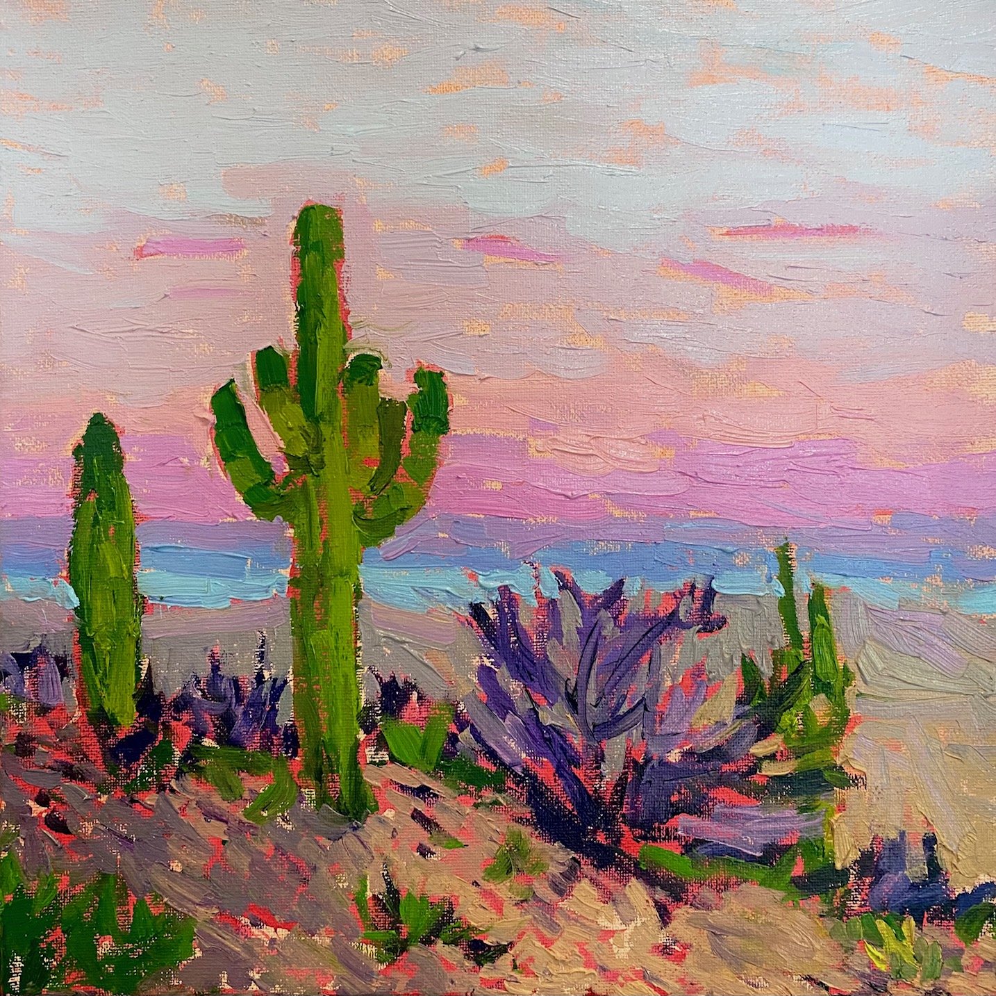 "Saguaro Evening Sketch"