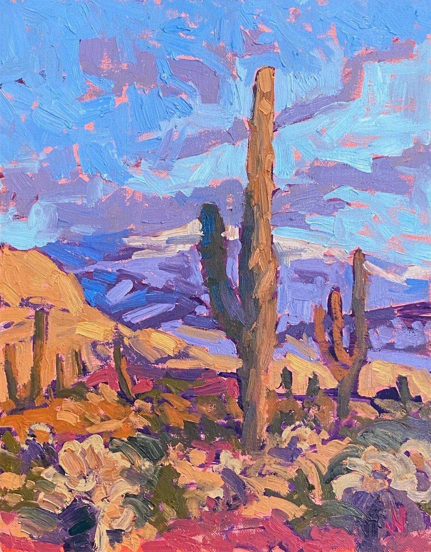 "Saguaro Sunset"