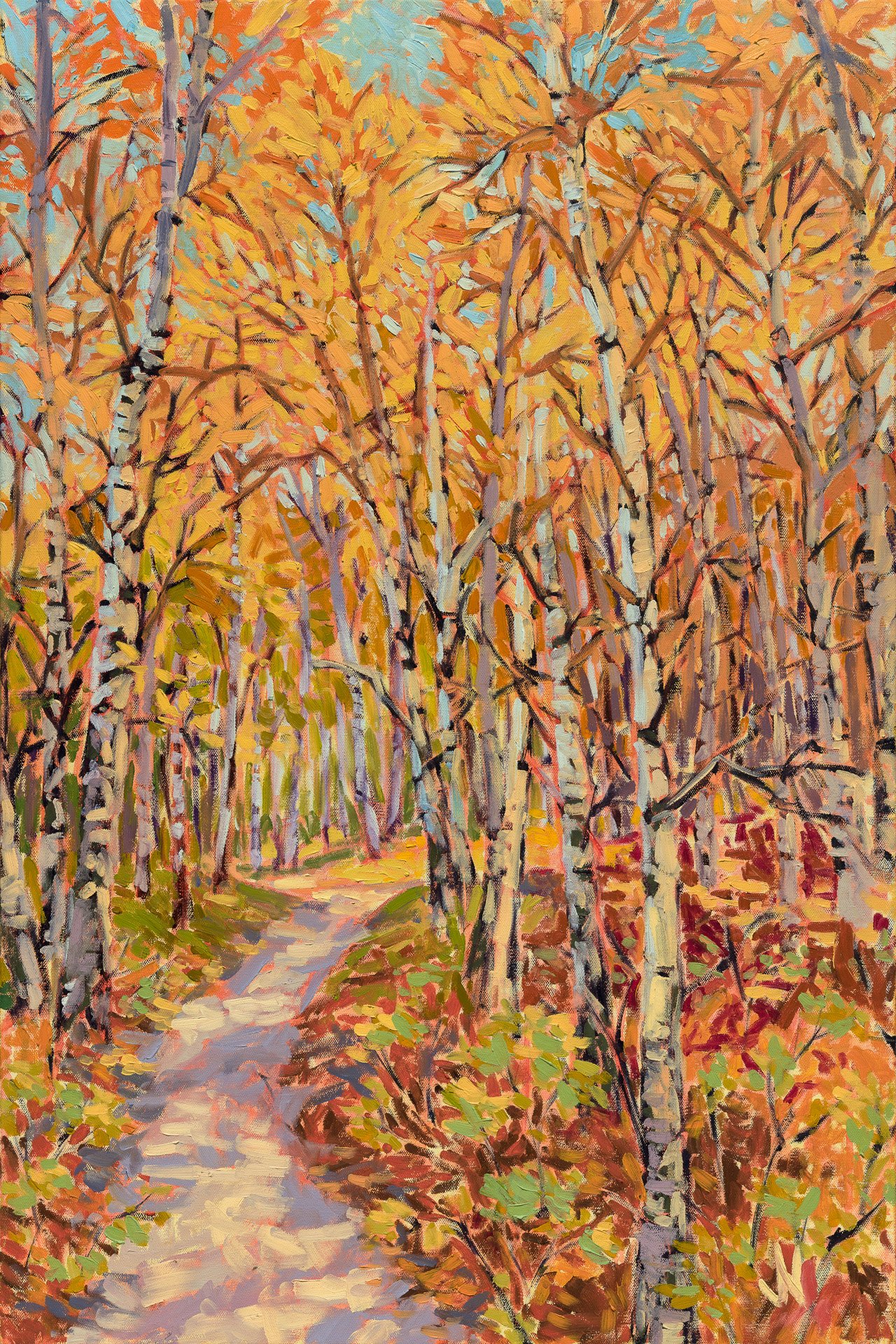 "Aspen Grove Path"