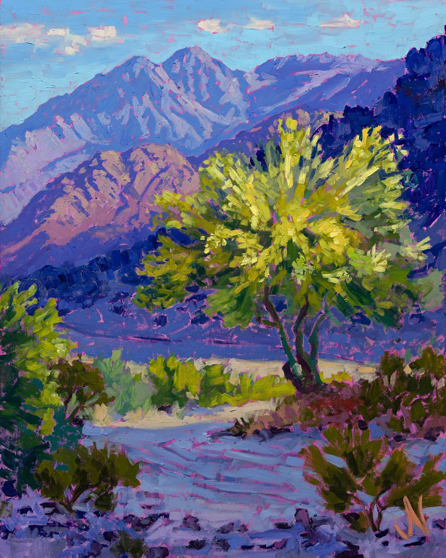 "Palo Verde Light"