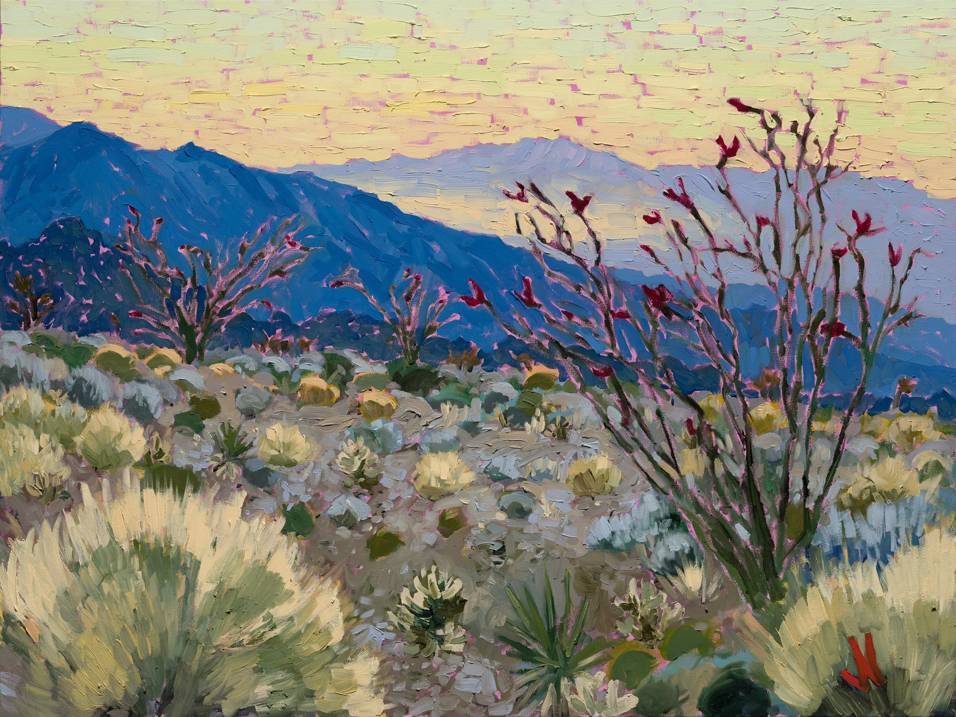 "Ocotillo Calm" 