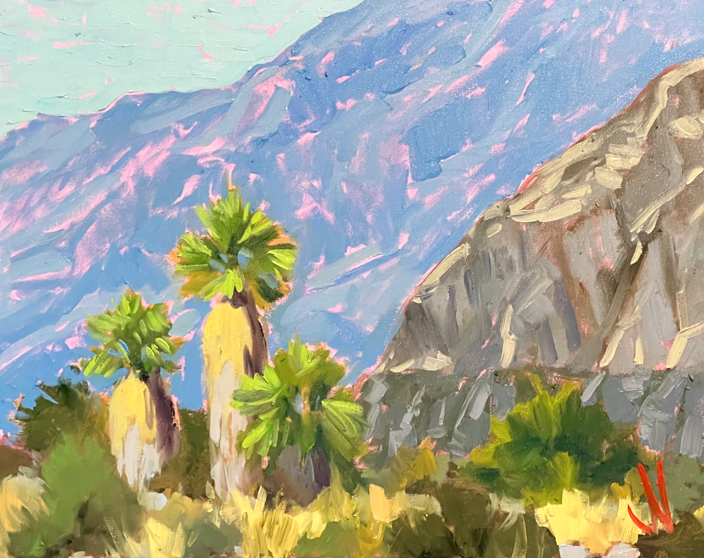 "Palms and Cliffs"
