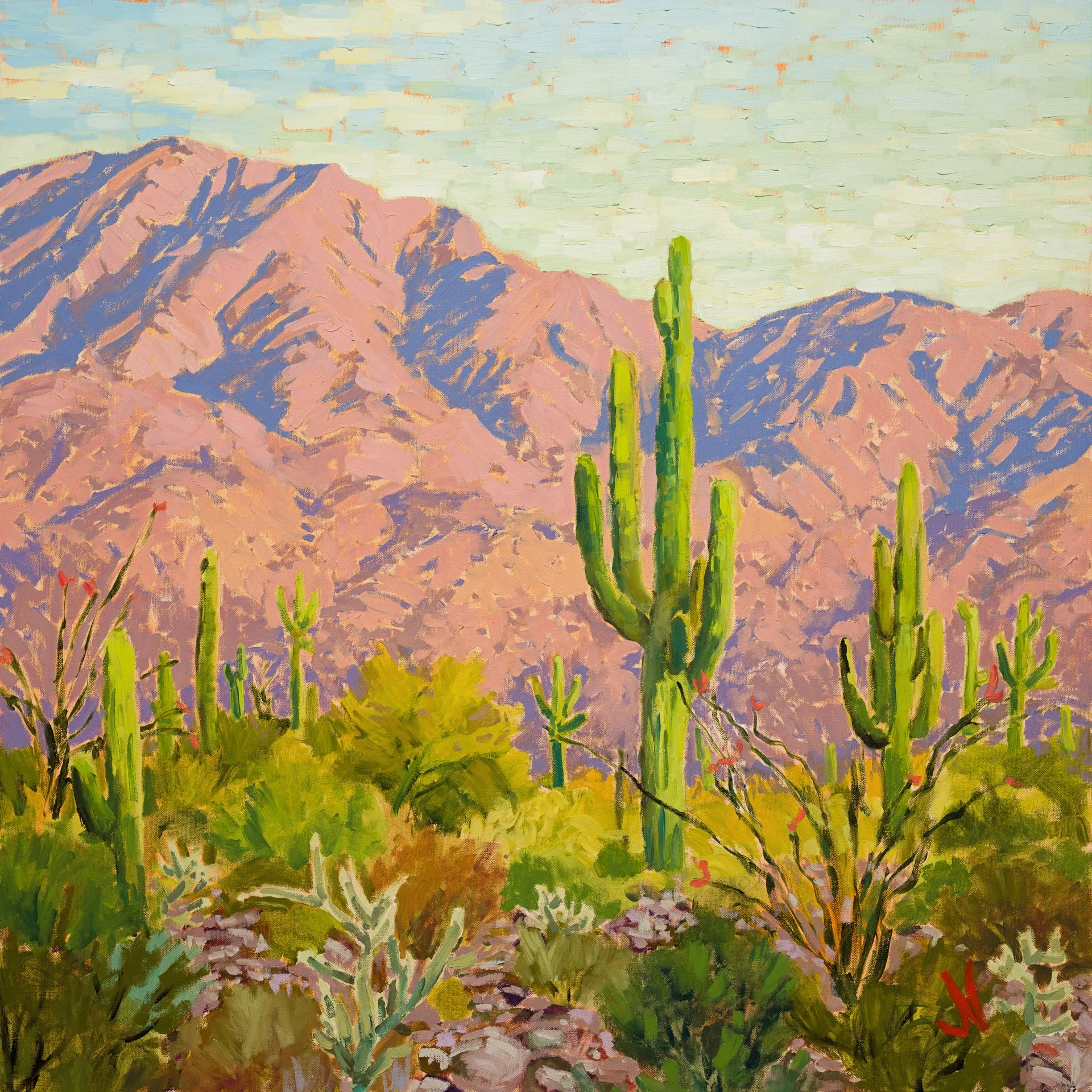 "Blushing Mountains" 