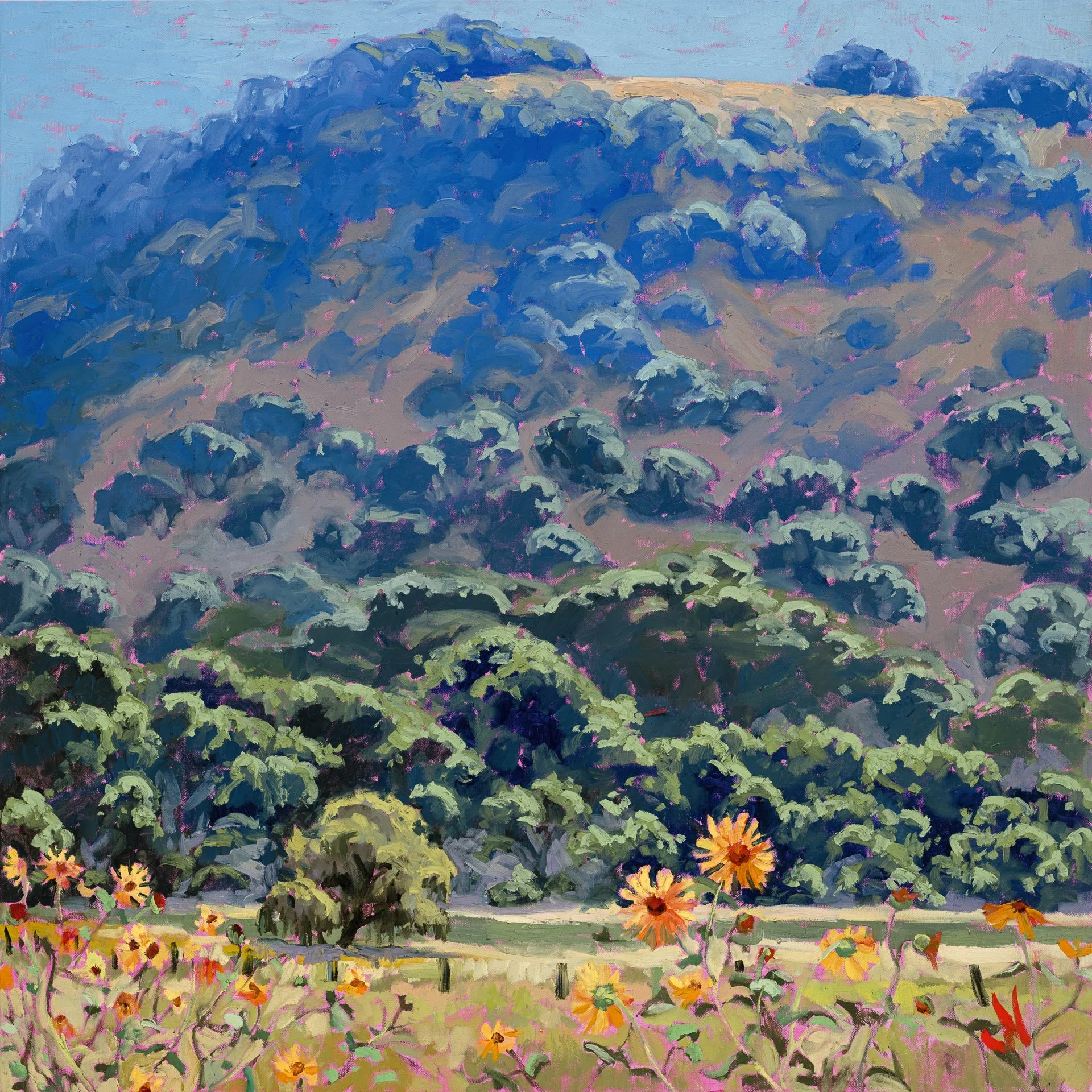 "Oak Hill"
