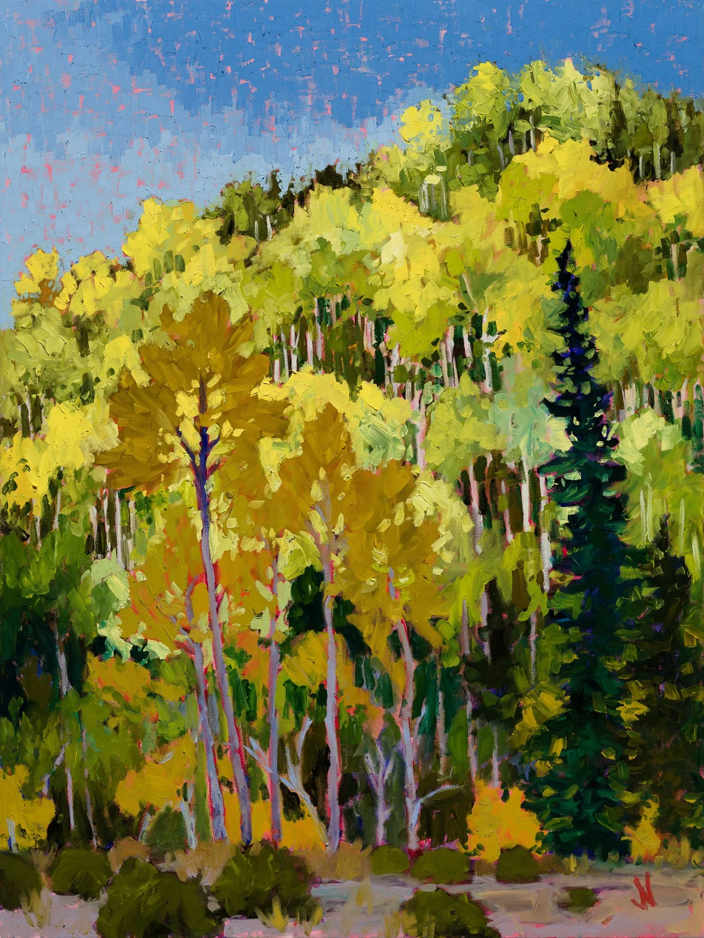 "Aspens in Shade"