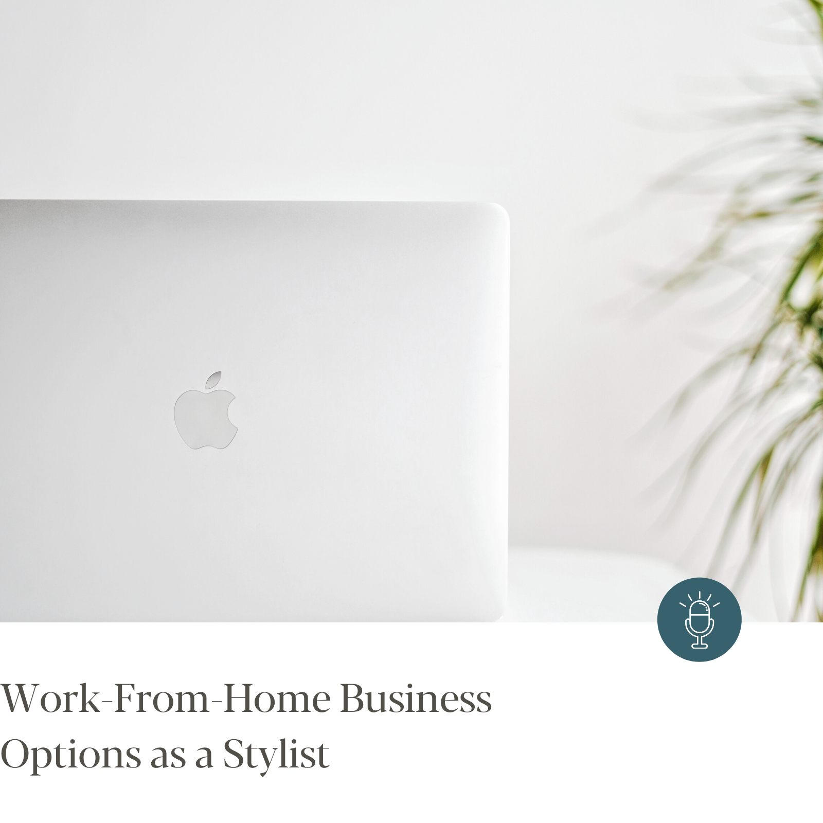 Episode #230 - Work-From-Home Business Options as a Stylist