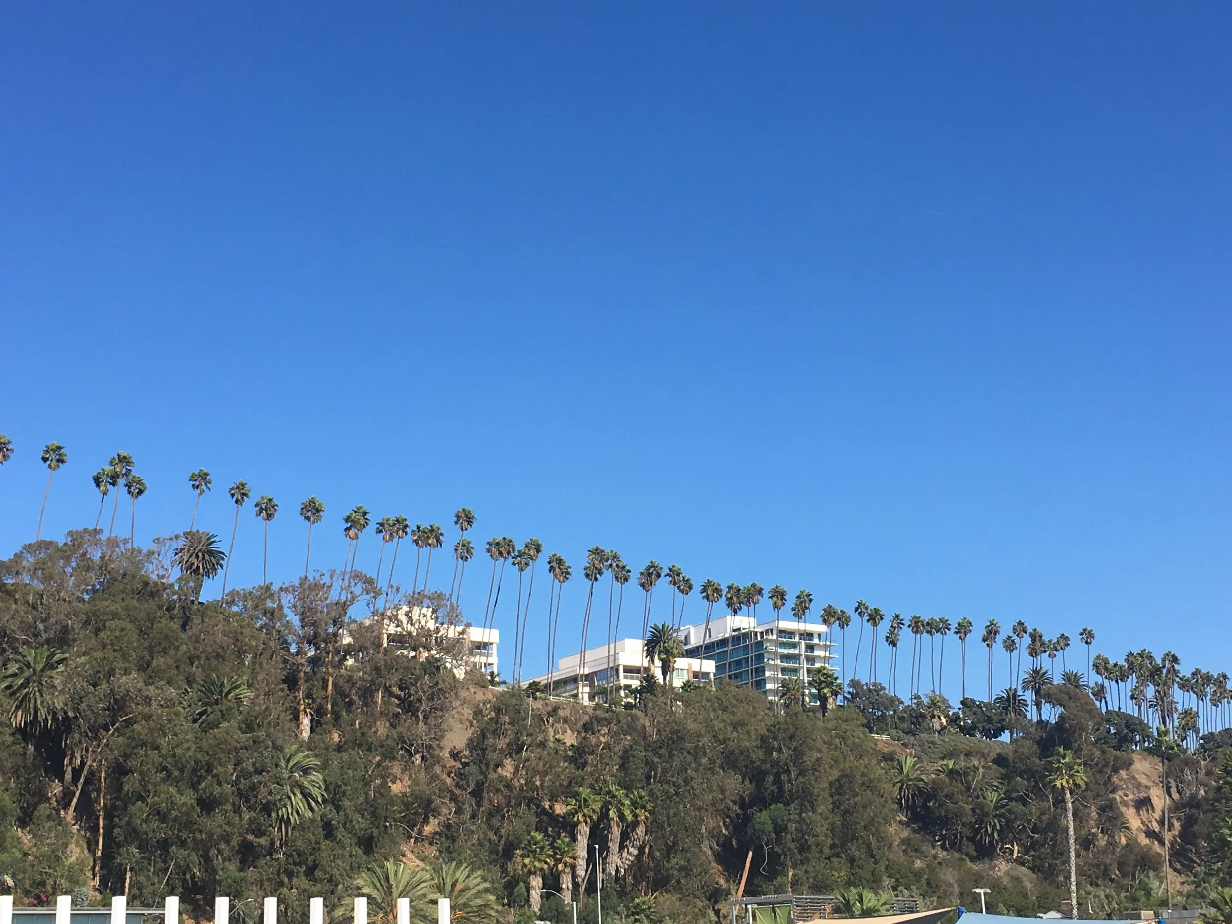 K Sideris Cali Palm Trees.jpeg