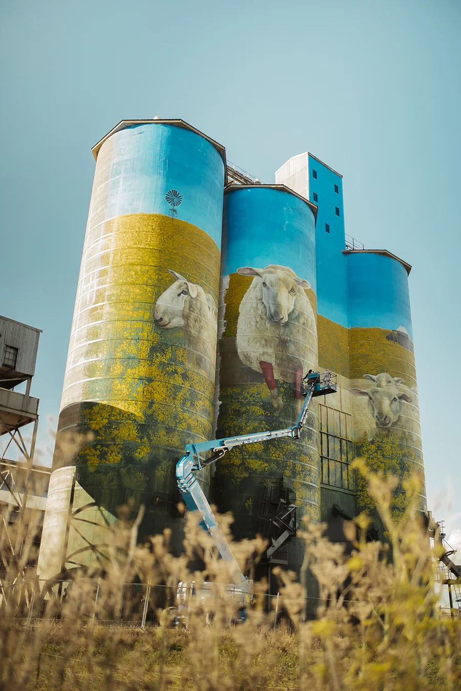 authority_creative_merriwa_graincorp.jpeg