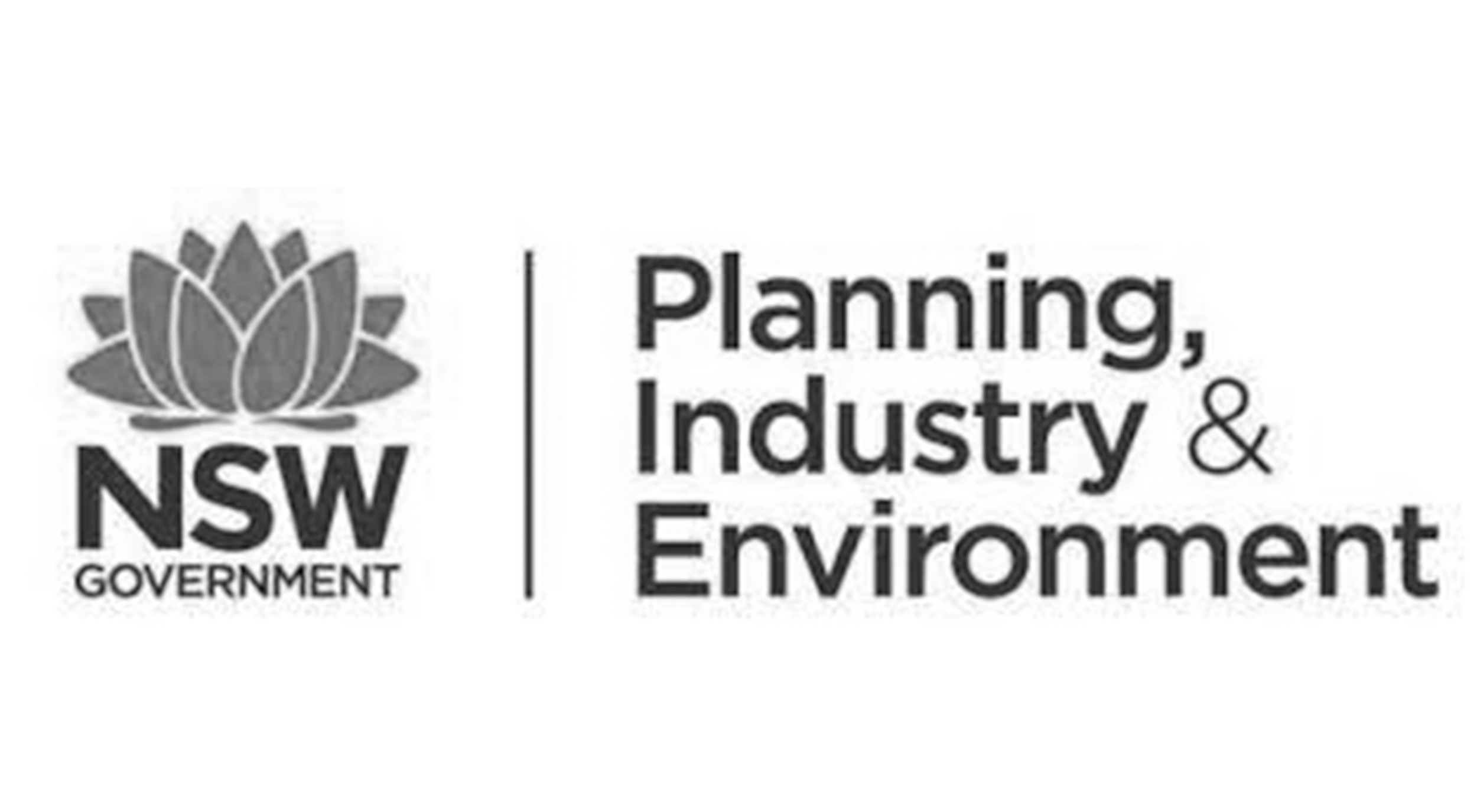 nsw placemaking logo.png