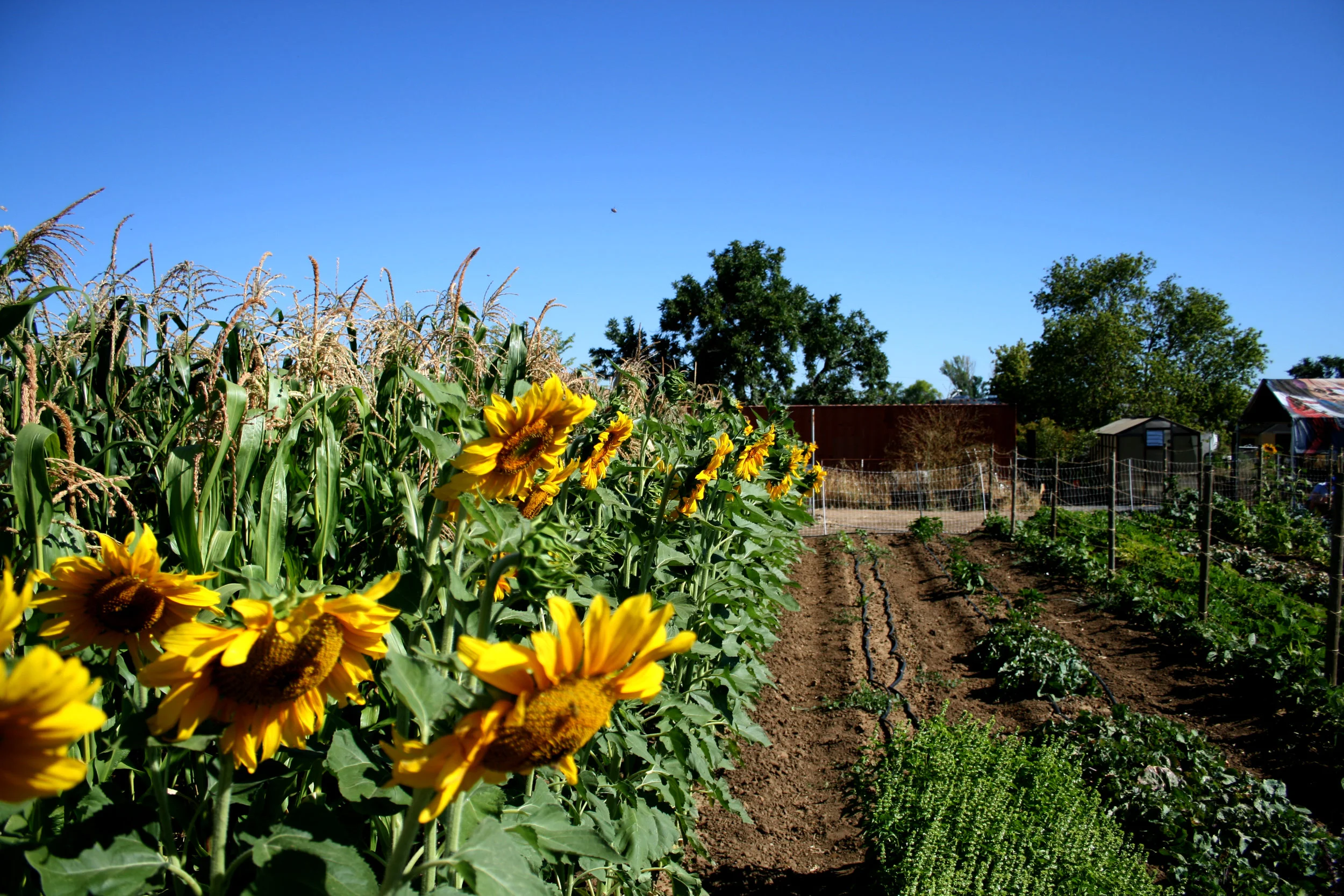 2013-07-18 10.38.00_c.jpg