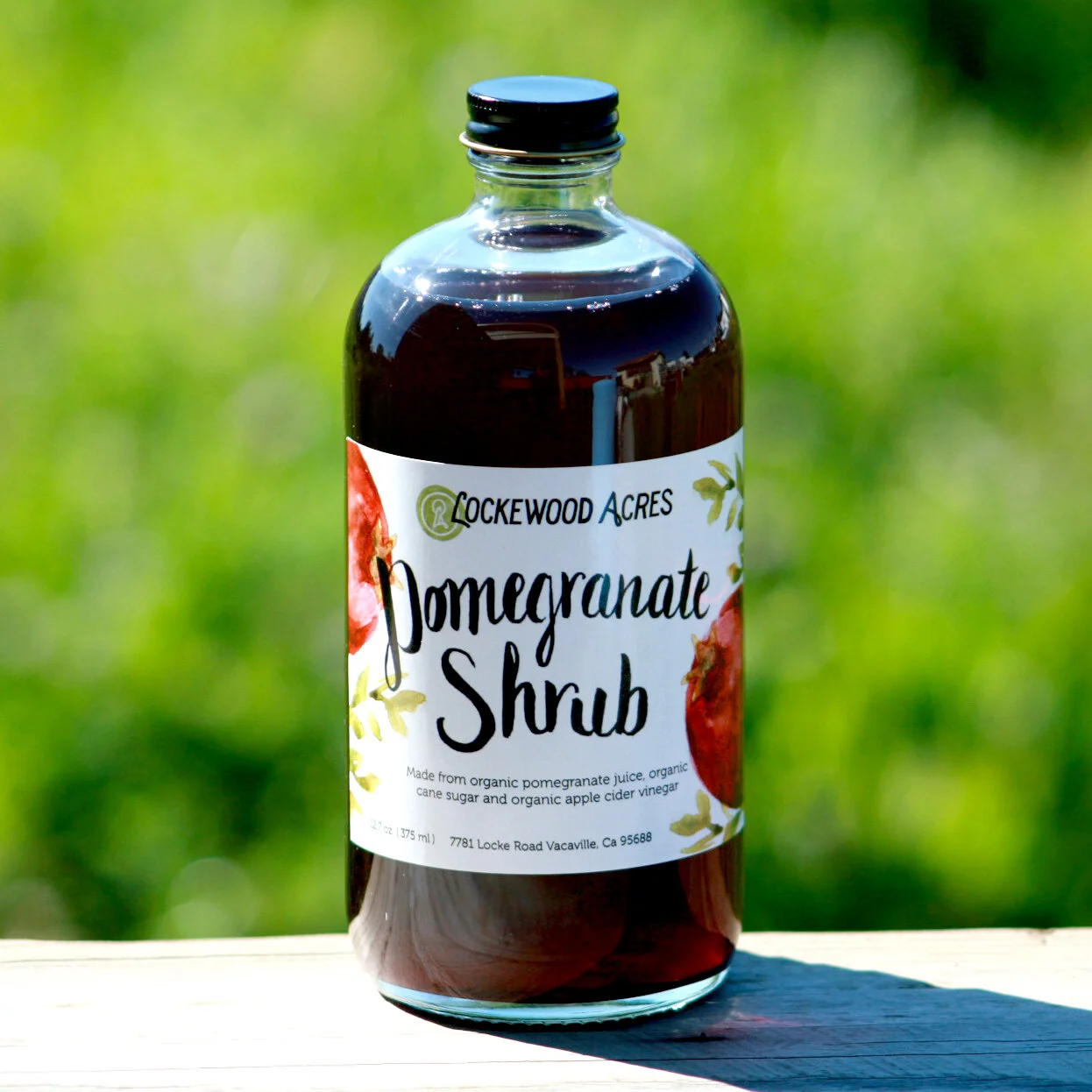 Pomegranate Shrub
