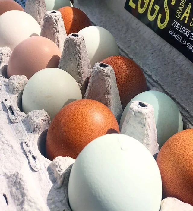 Easter eggs everyday #lockewoodacres #pastureraised #pastureraisedeggs #eggs