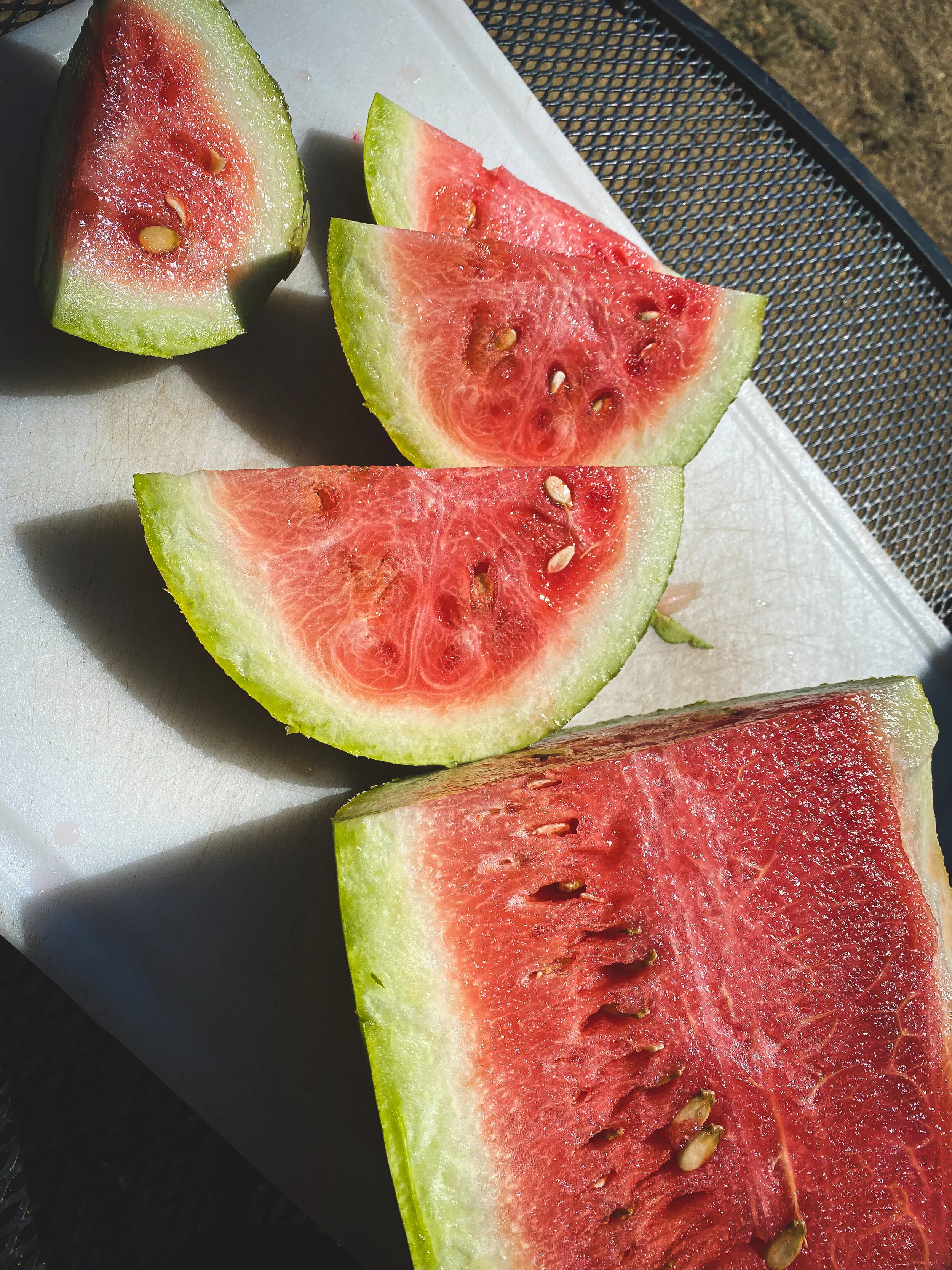 Fun Fact Friday: Ripe Watermelon