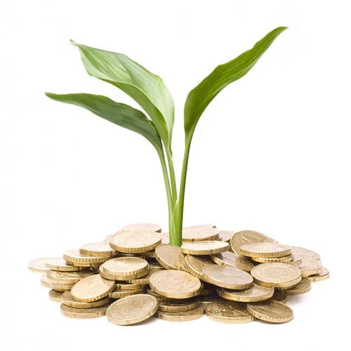 Wealth Managers Australia