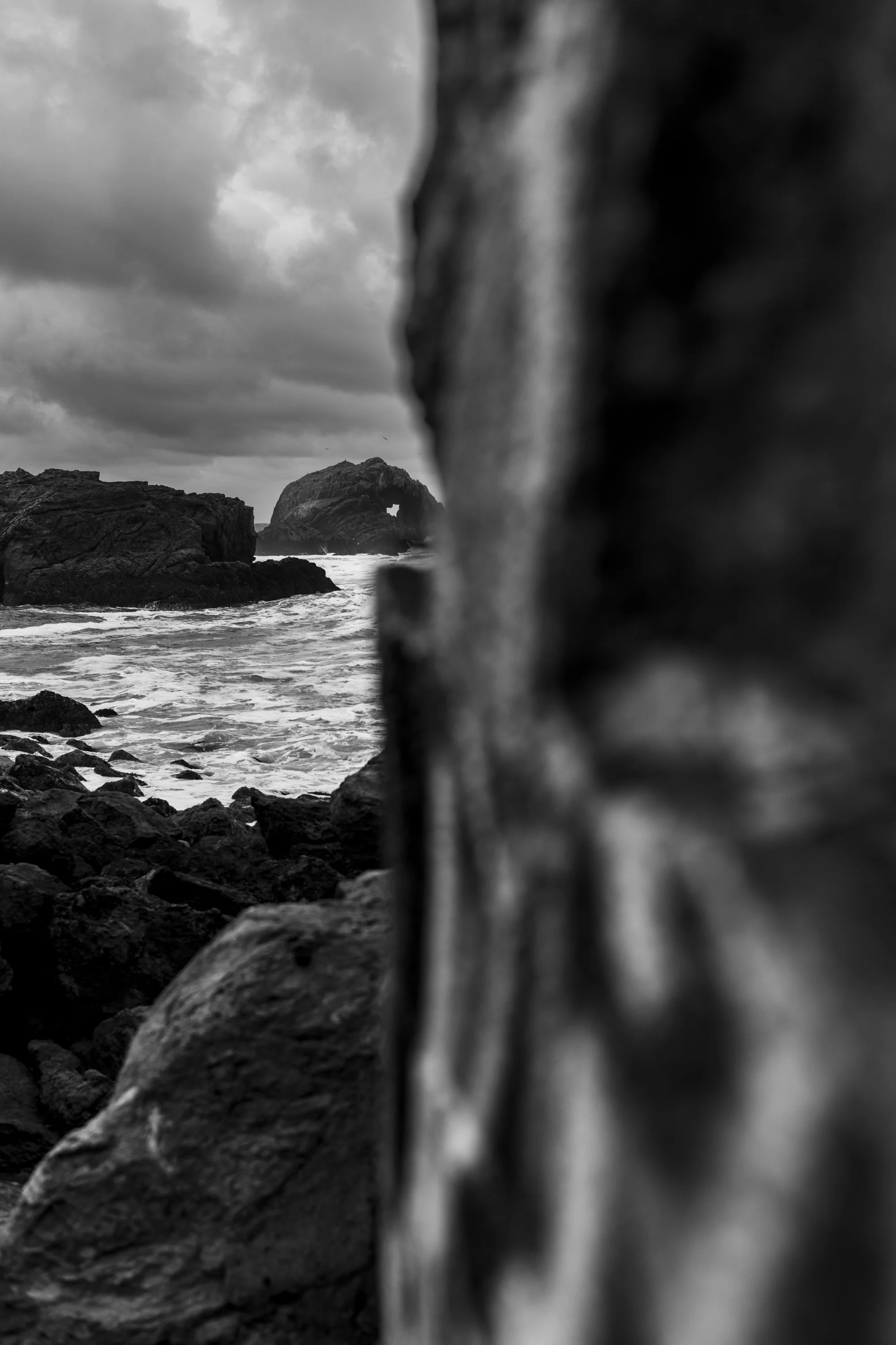 DSC_3664.jpg