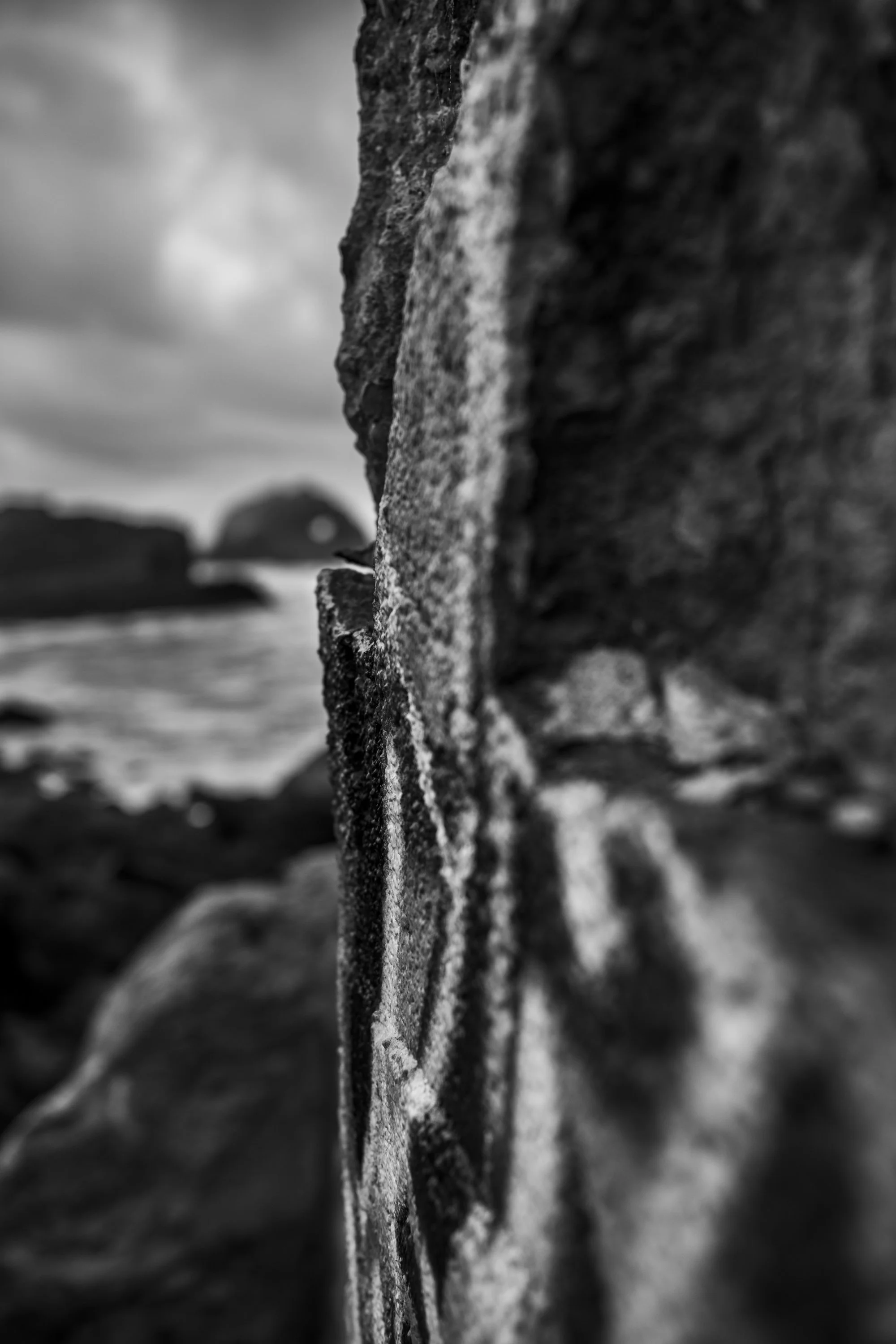 DSC_3662.jpg