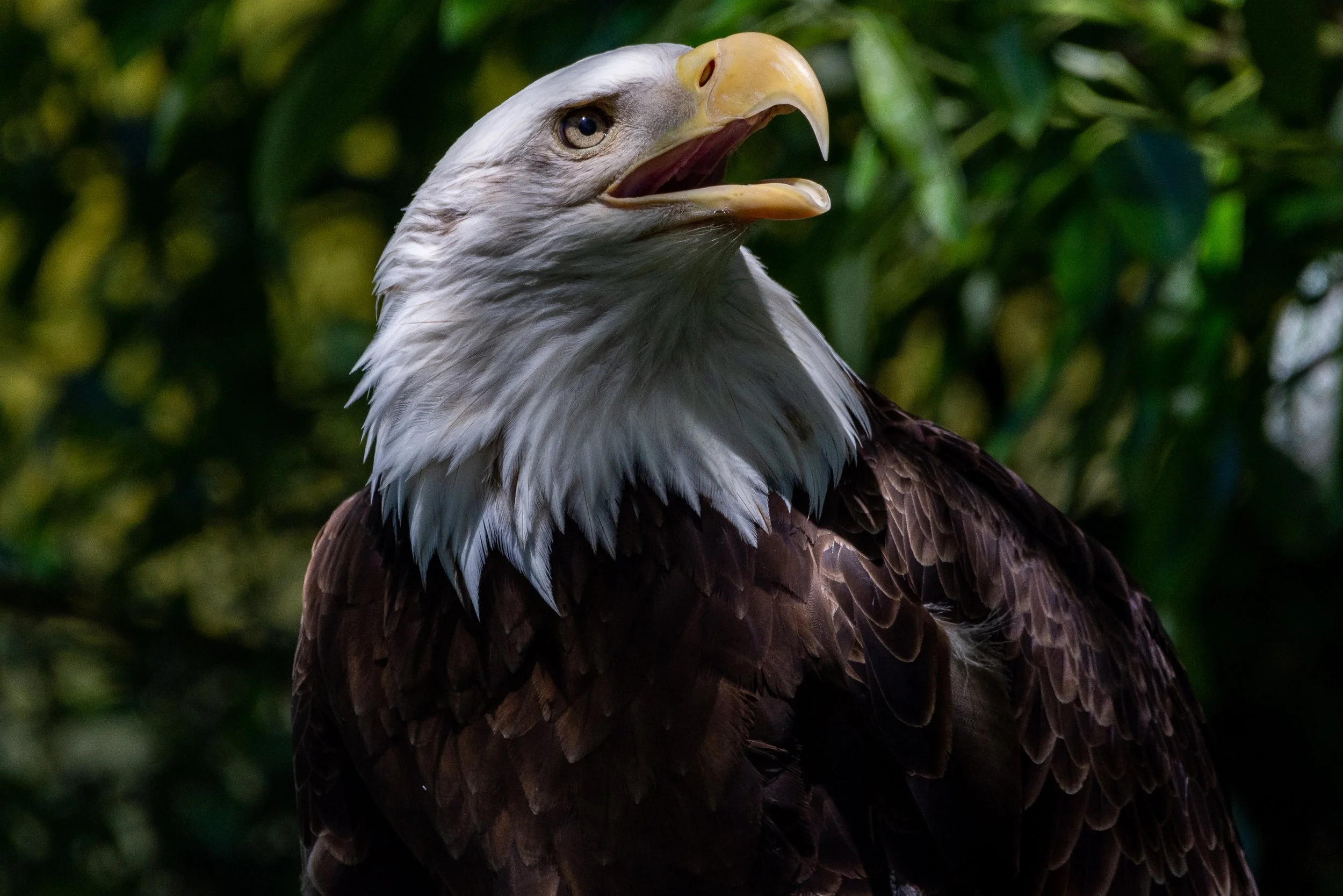 _DSC9549.jpg