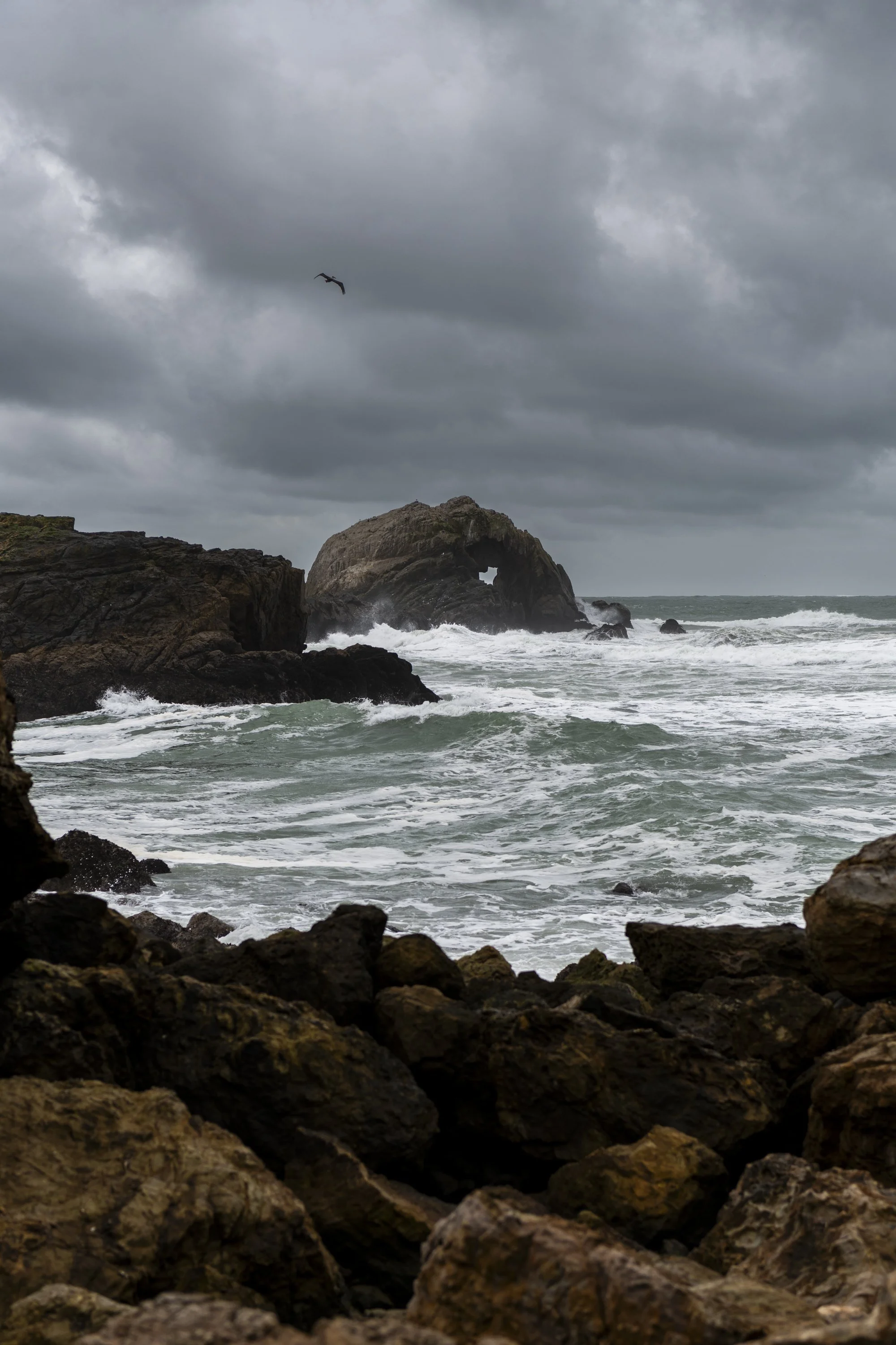 DSC_3655.jpg