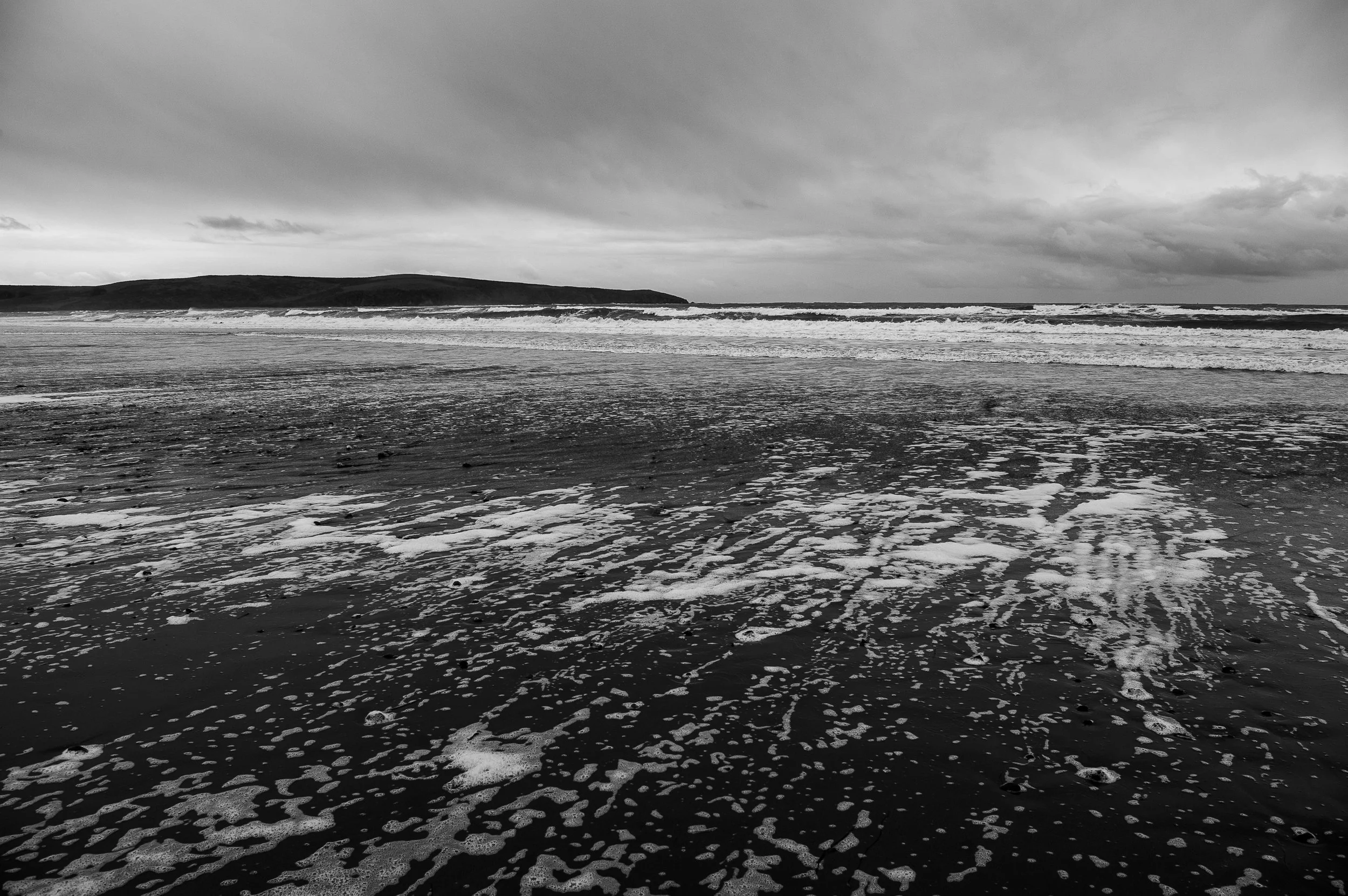 DSC_7272.jpg