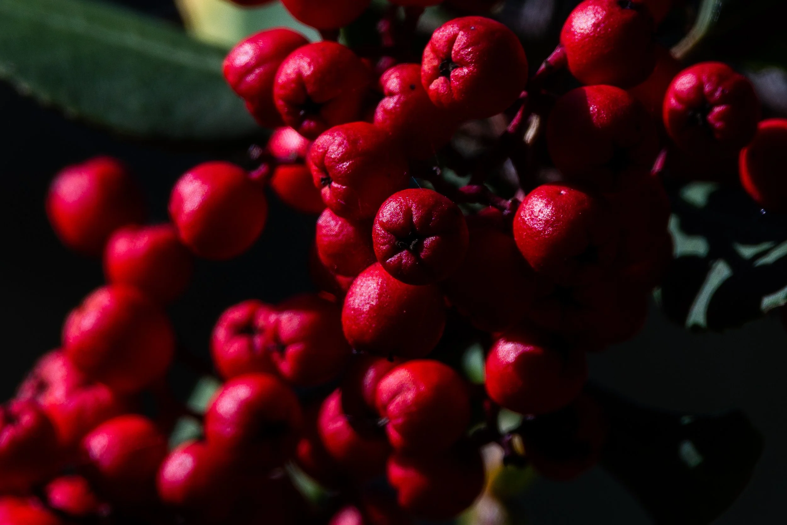 DSC_0405.jpg