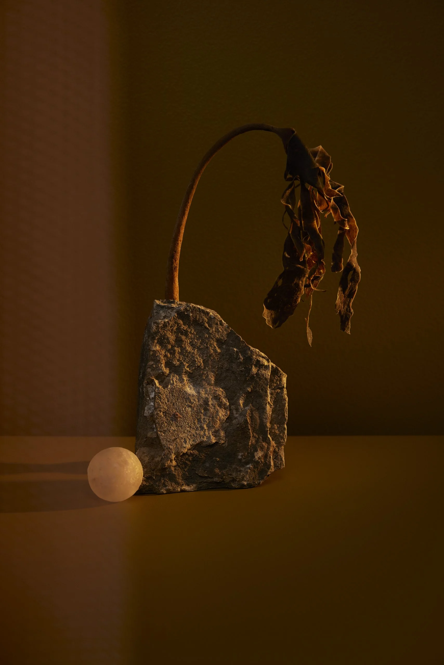 Test_January_0014-2.jpg