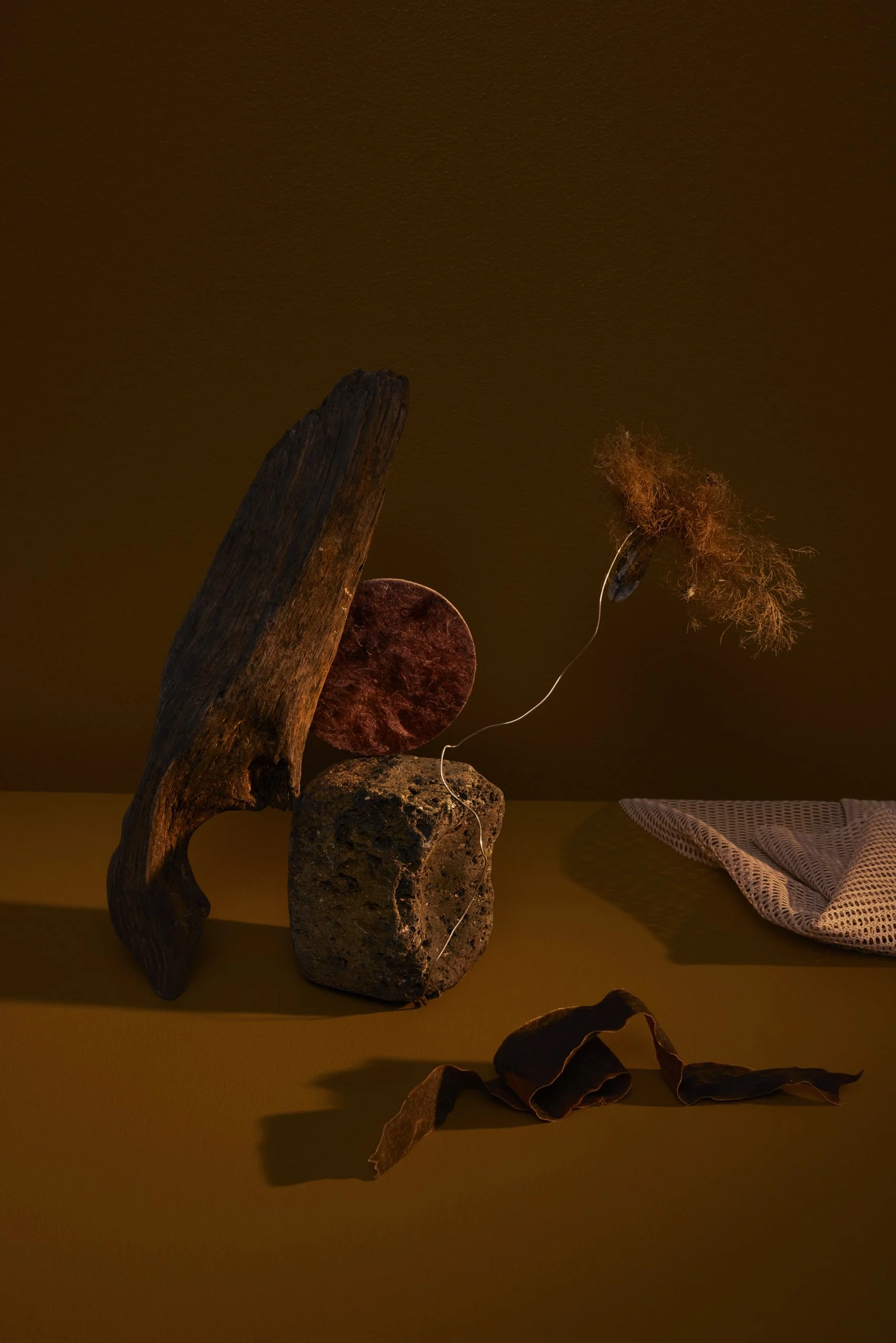 Test_January_0046-2.jpg