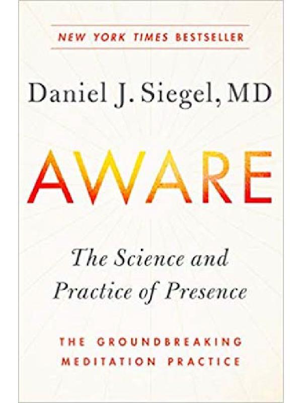 Aware , Dr. Dan Siegel