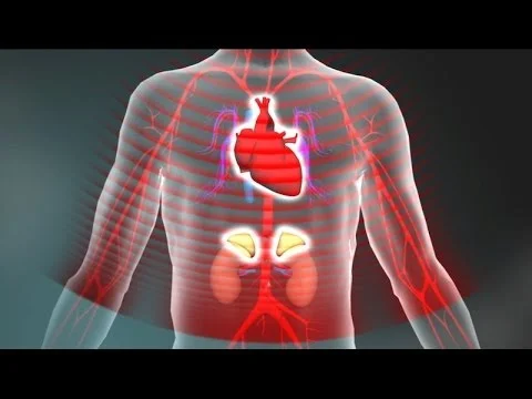 3. Toxic Stress Derails Healthy Development (Copy)