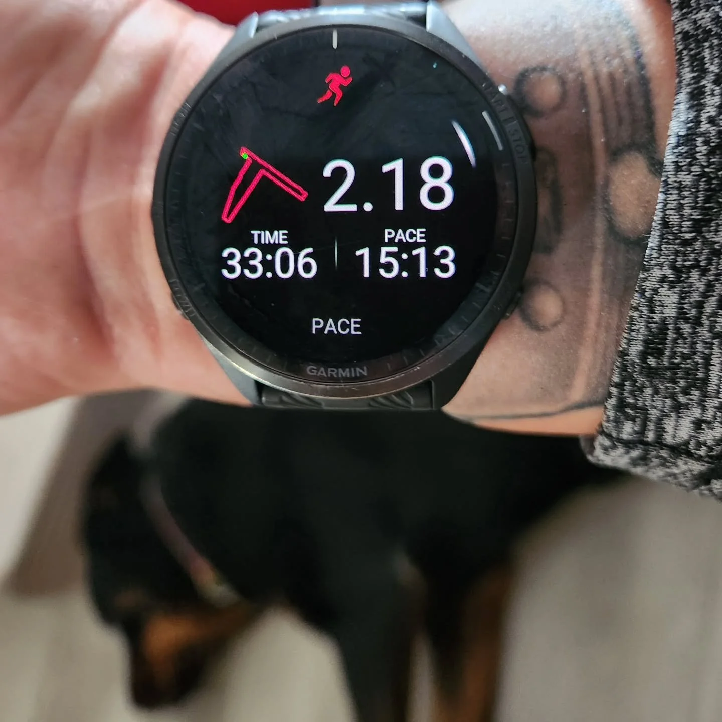 There are lots of ways to manage stress. I think all my life i've bought into the lie that if it isn't half killing me, i'm not doing anything. Today's run was gentle, and also, Maite is here to remind me that rest is revolution.

Image shows my runn