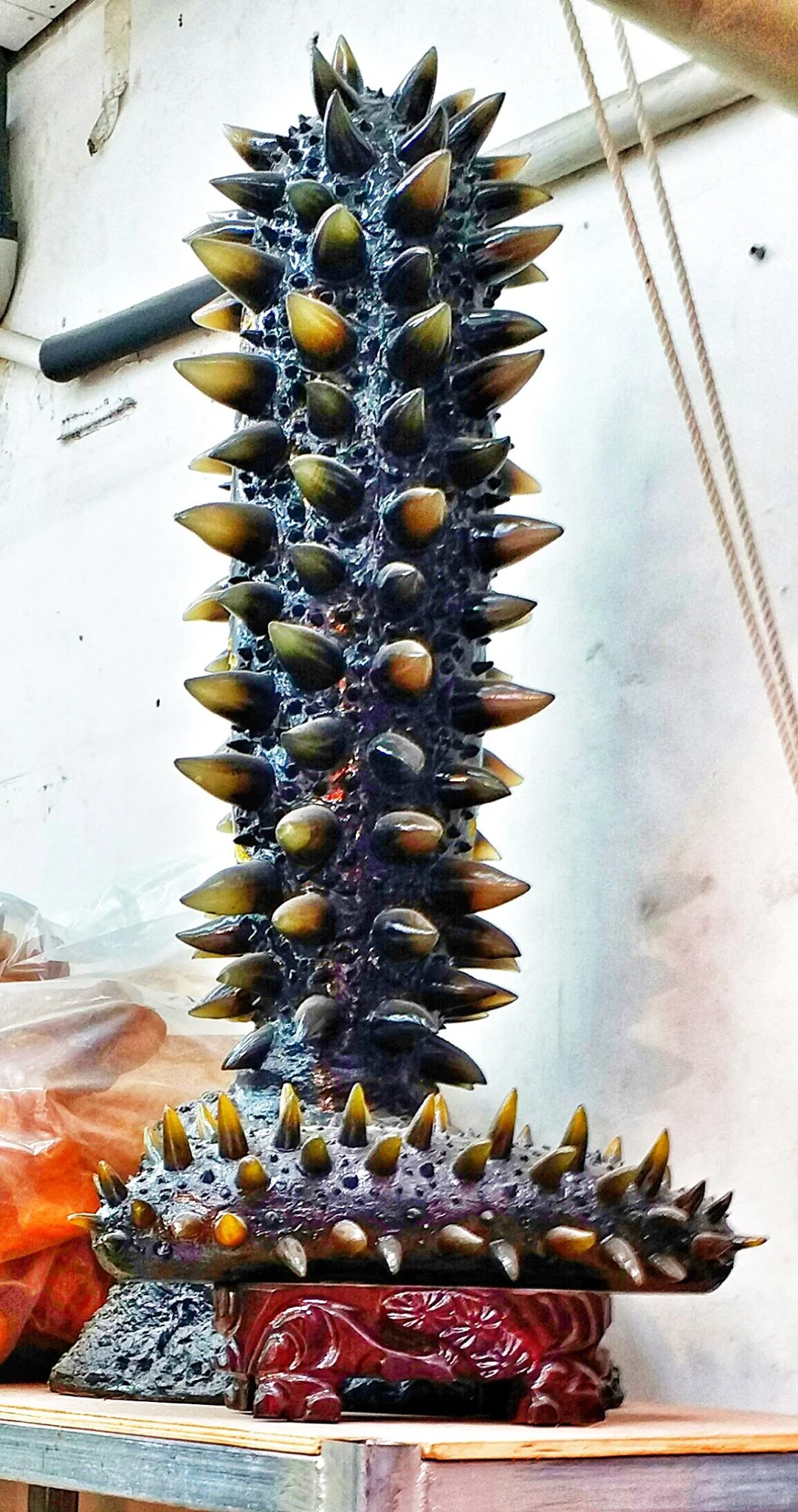 visit the TCM shops on the hong kong food tour