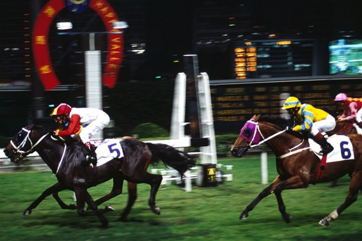 horse race.JPG