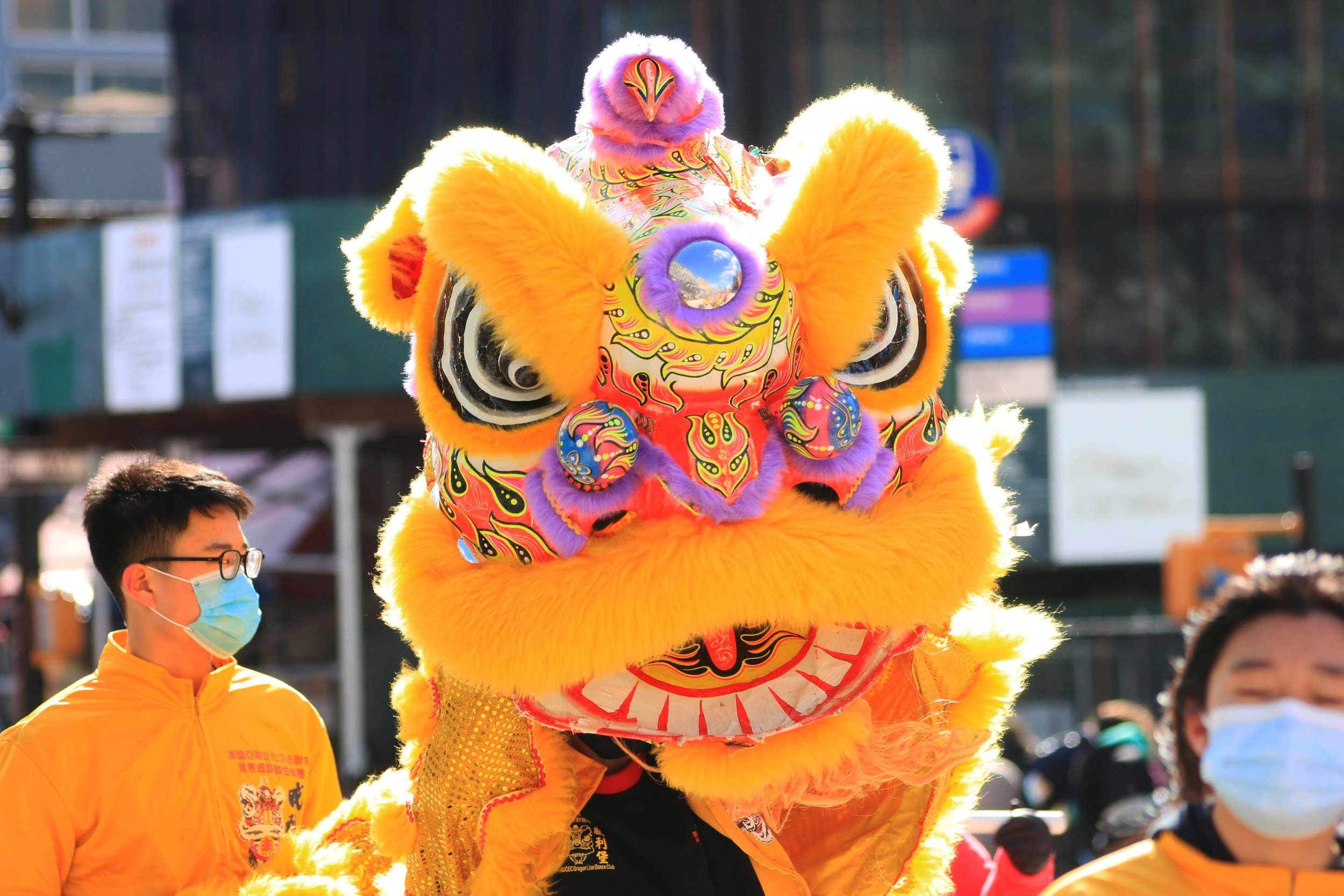 Lion Dance Hong Kong Chinese new year.jpg