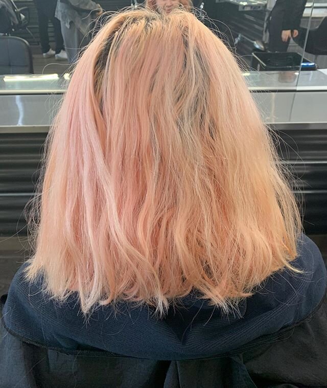 BEFORE &amp; AFTER 🥳😱 client wanted to remove her previous pink box dye and go back to platinum! No toner was used! 
#wella #wellaprofessional #blondehair #studentwork #cosmetology #hairstylist #platinumblonde #haircolor #haireducation #beautyschoo