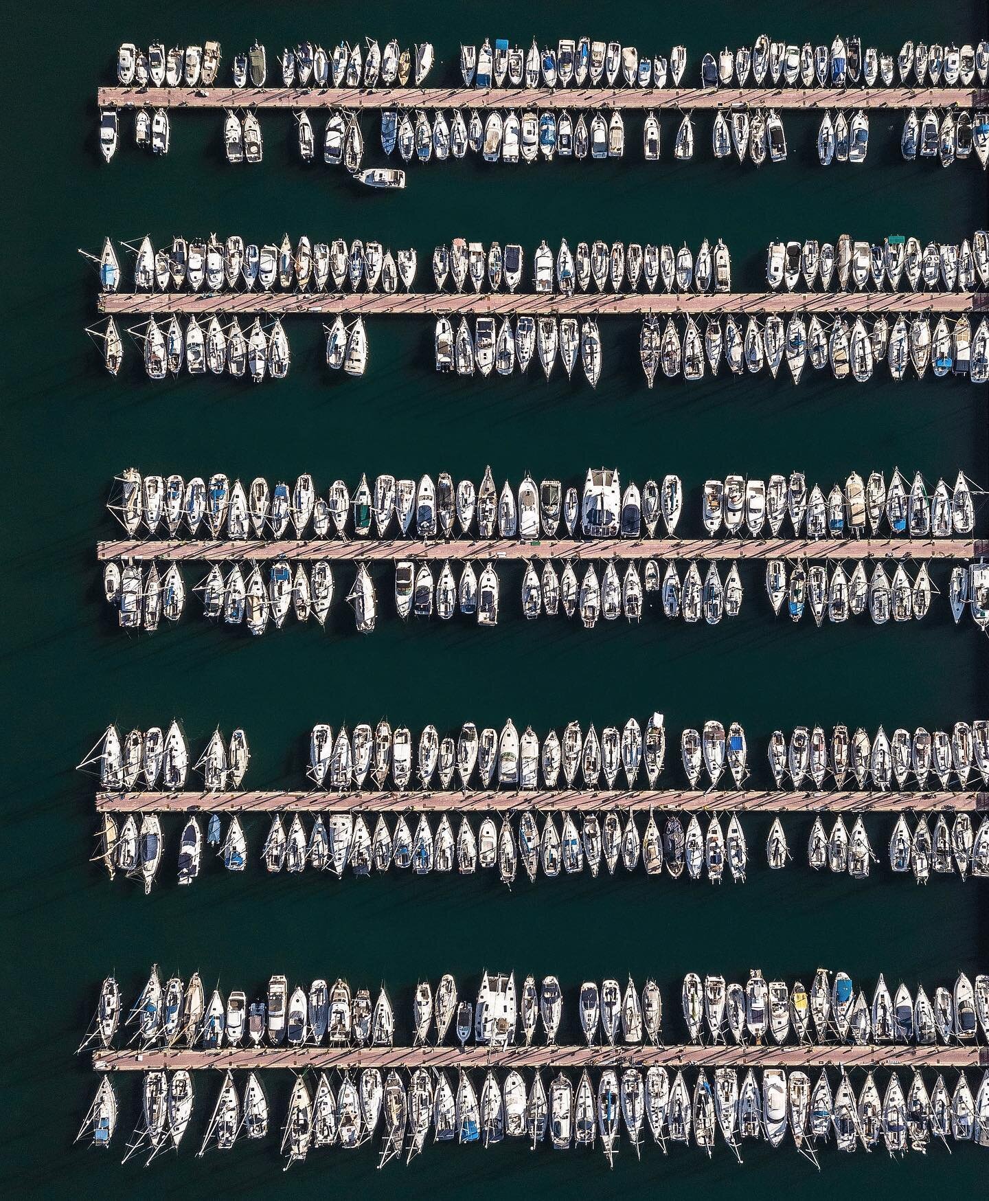 Who knew 391 boats could look so satisfying? 🛥️