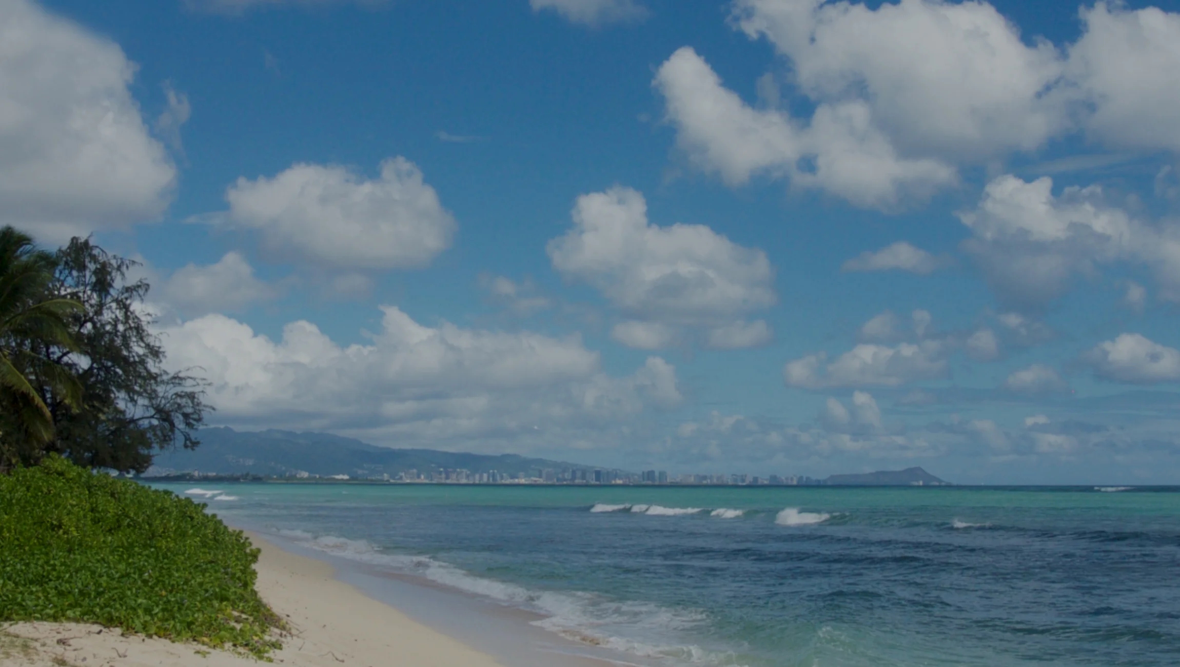 Coalition For A Drug Free Hawaii