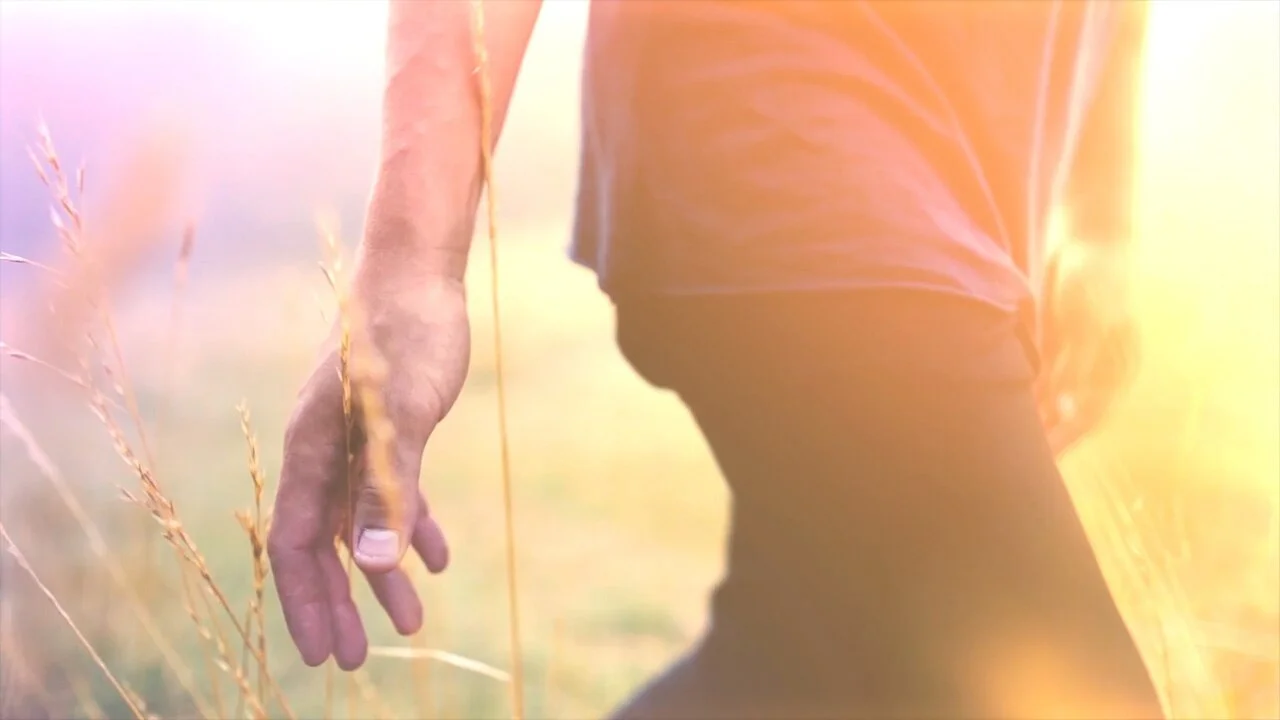 After Effects - Light Leaks and Film Burns Template