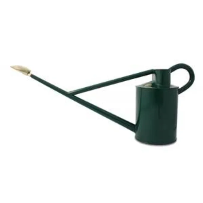 Watering Can.jpg