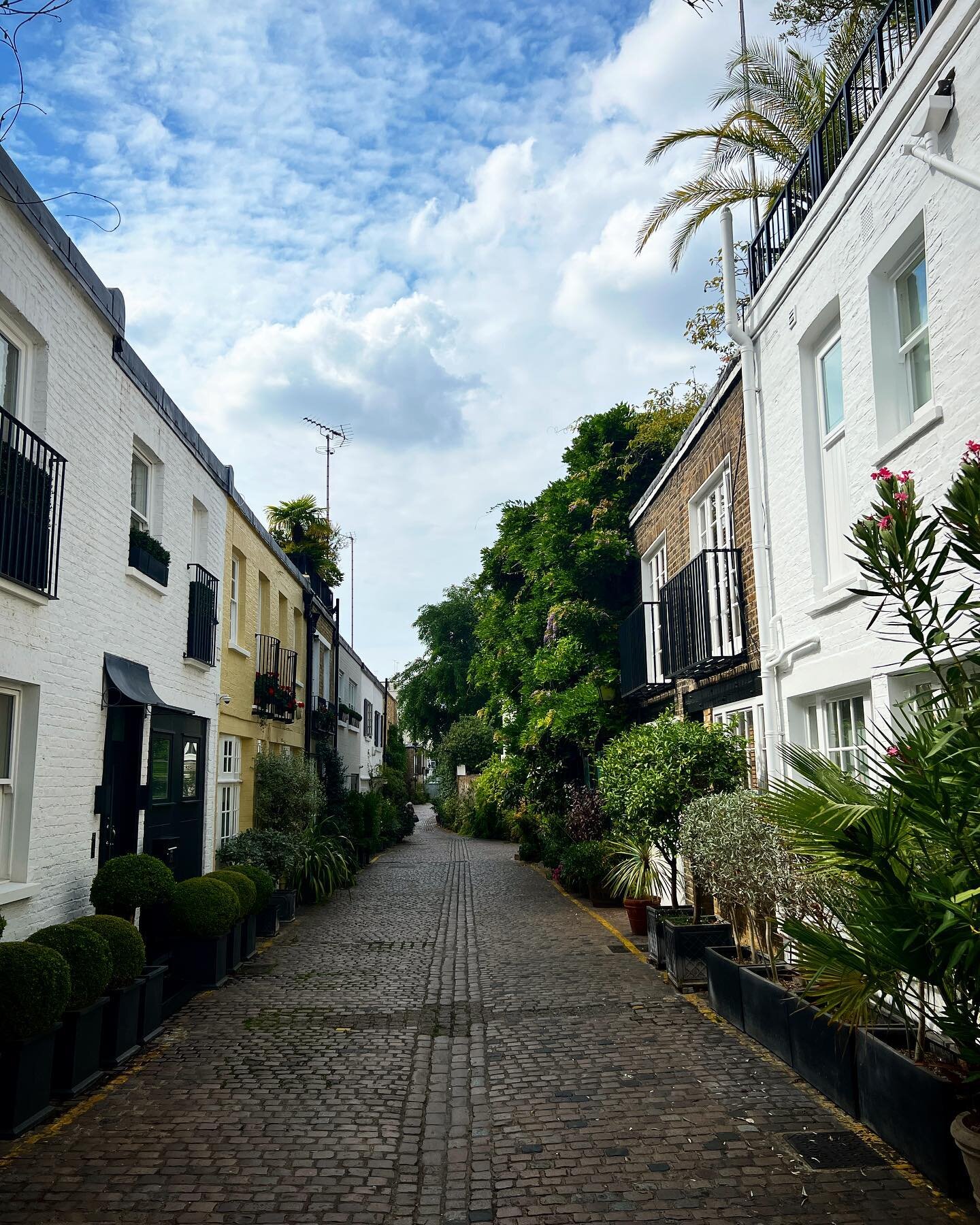 Rushing to a meeting but still taking the time to appreciate the beautiful Kynance Mews. It&rsquo;s great how all the neighbours love their plants and look after them so well. It makes this area of Kensington extra special