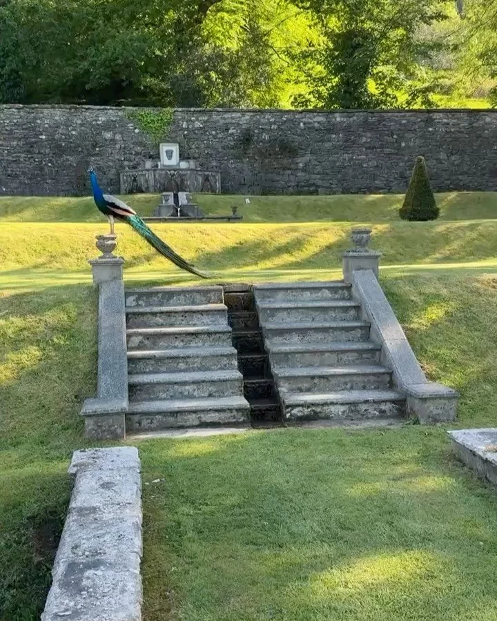 Did you know that the gentle murmur of a water feature does more than create a feeling of relaxation? Throughout the history of garden design, water features have been strategically used to veil private conversations from prying ears and create intim